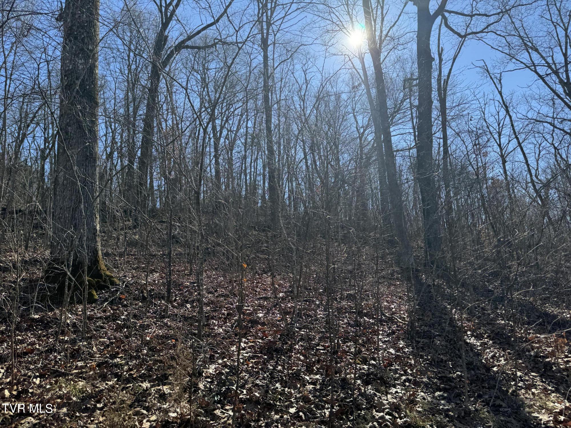 Stagecoach Road, Greeneville, Tennessee image 6