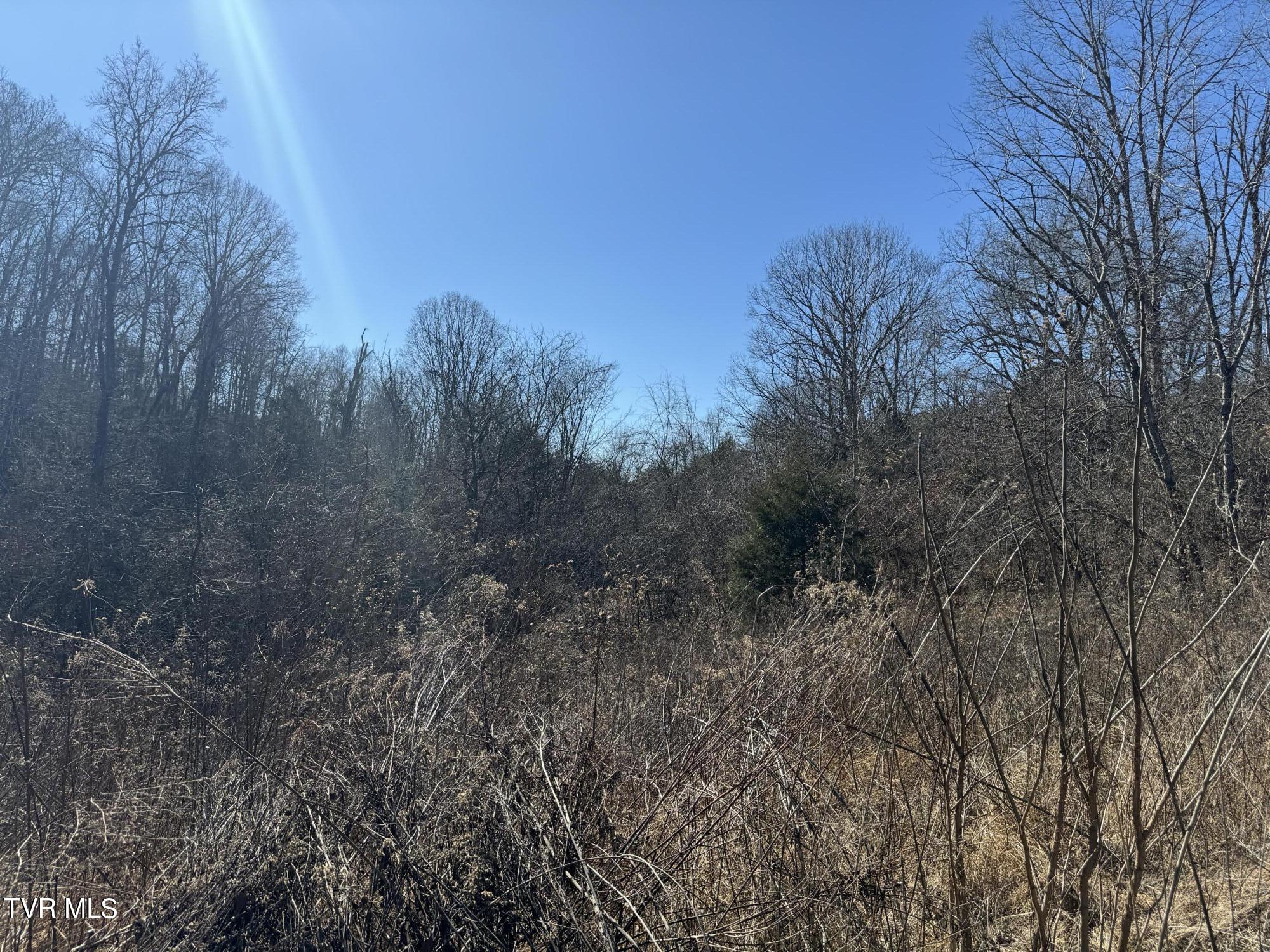 Stagecoach Road, Greeneville, Tennessee image 5