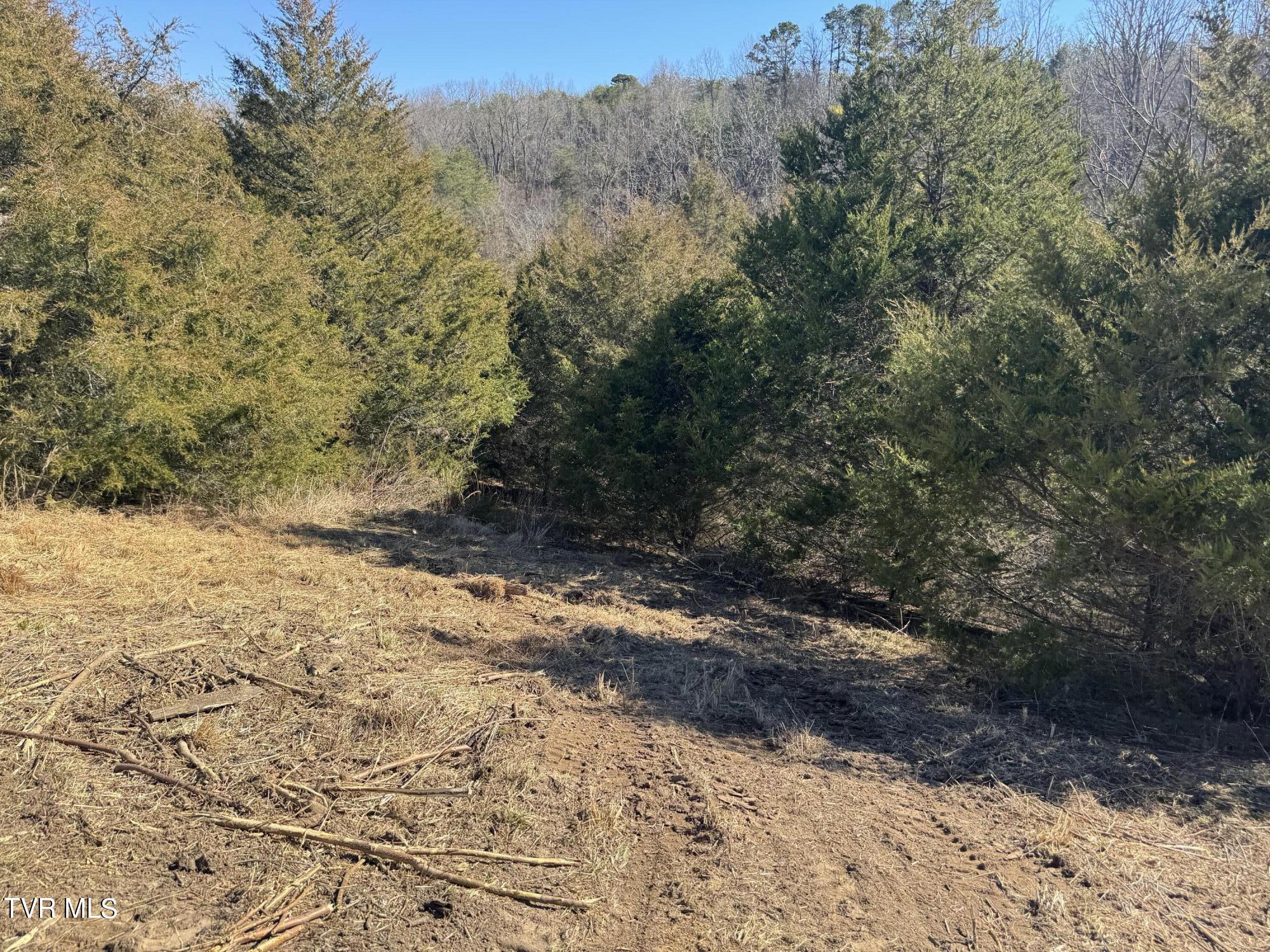 Stagecoach Road, Greeneville, Tennessee image 21