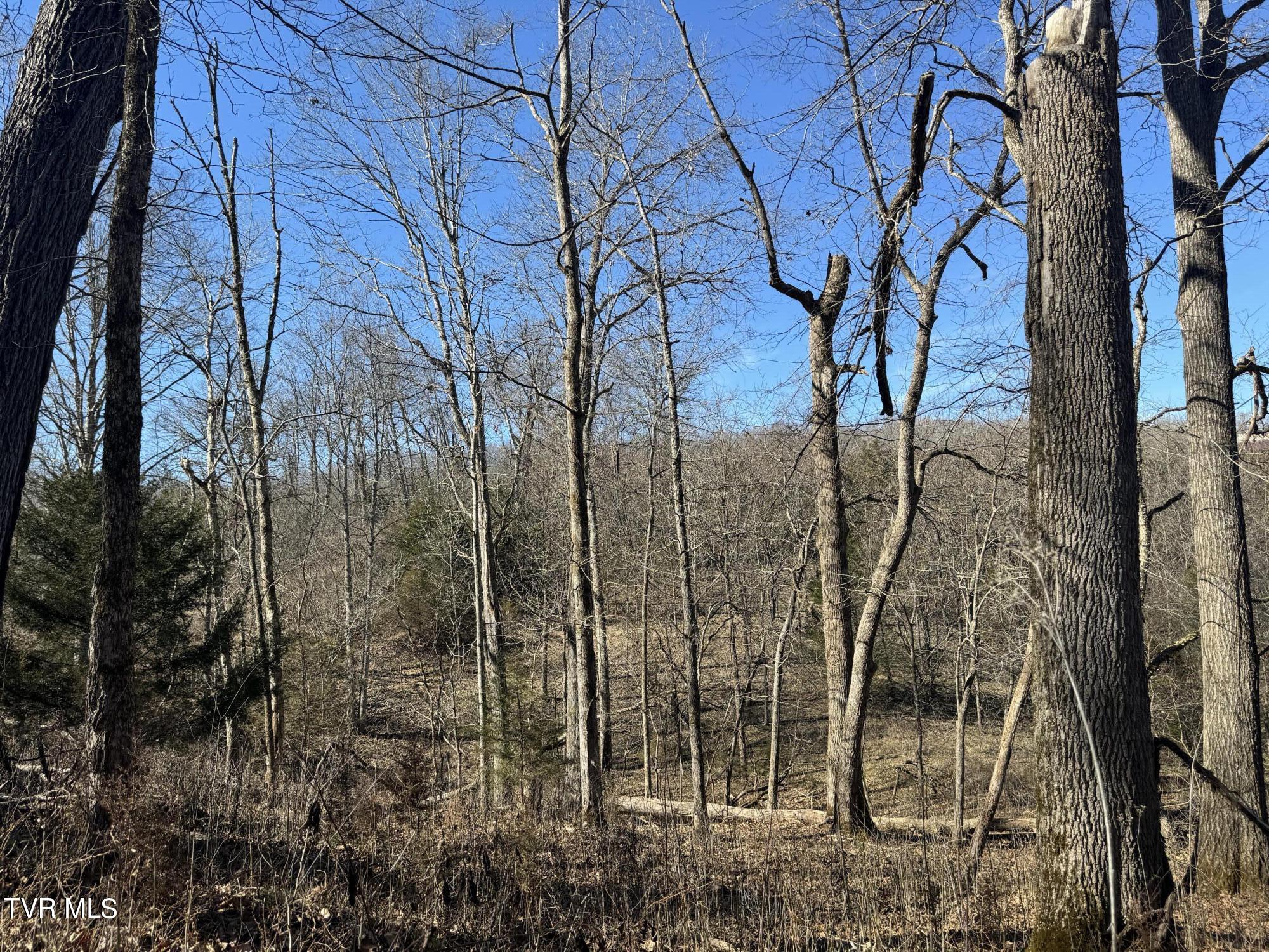 Stagecoach Road, Greeneville, Tennessee image 12