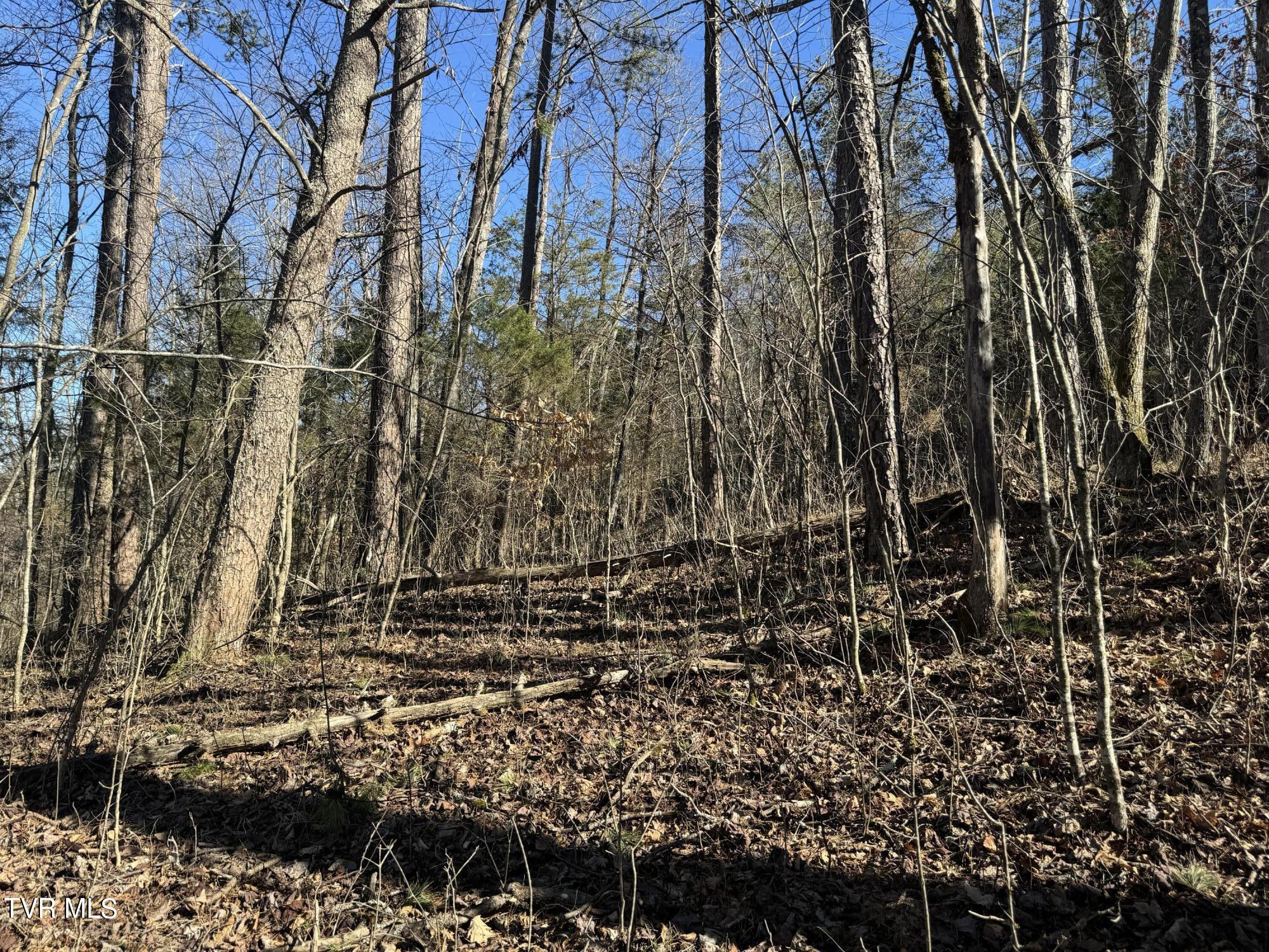 Stagecoach Road, Greeneville, Tennessee image 9