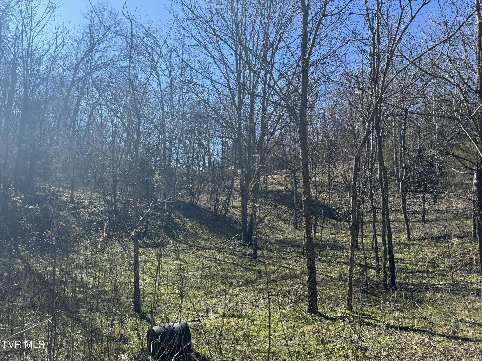 Stagecoach Road, Greeneville, Tennessee image 18