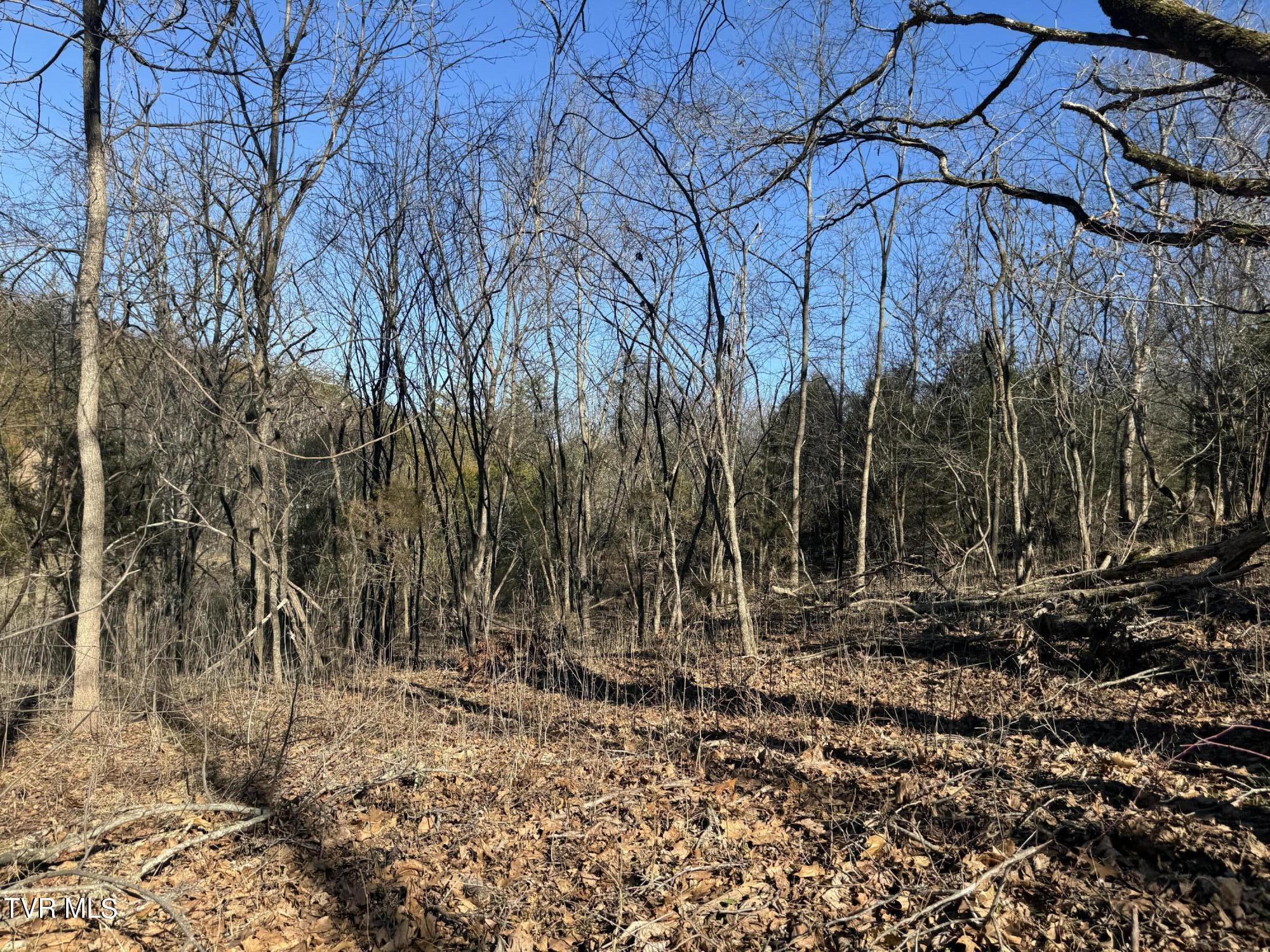 Stagecoach Road, Greeneville, Tennessee image 13