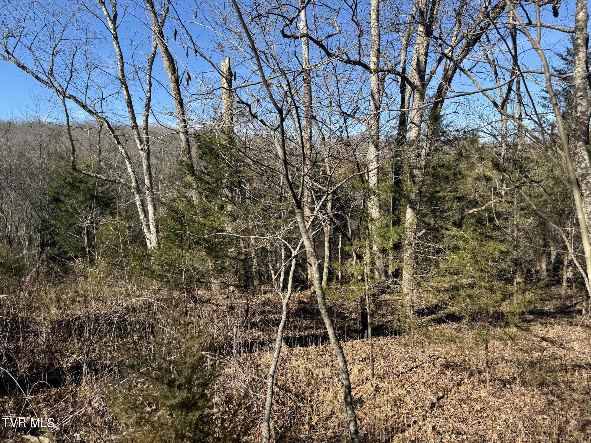 Stagecoach Road, Greeneville, Tennessee image 11