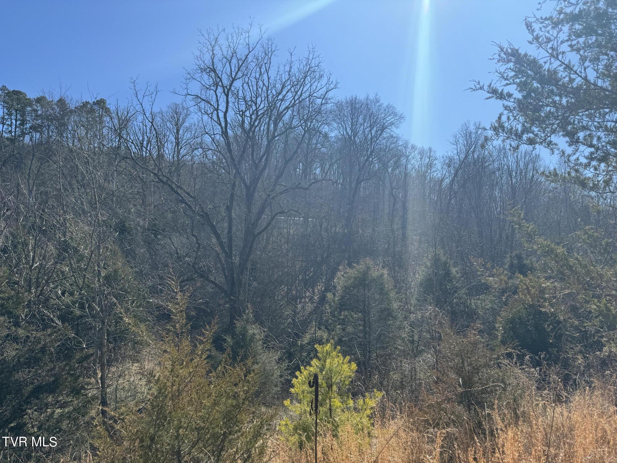 Stagecoach Road, Greeneville, Tennessee image 19