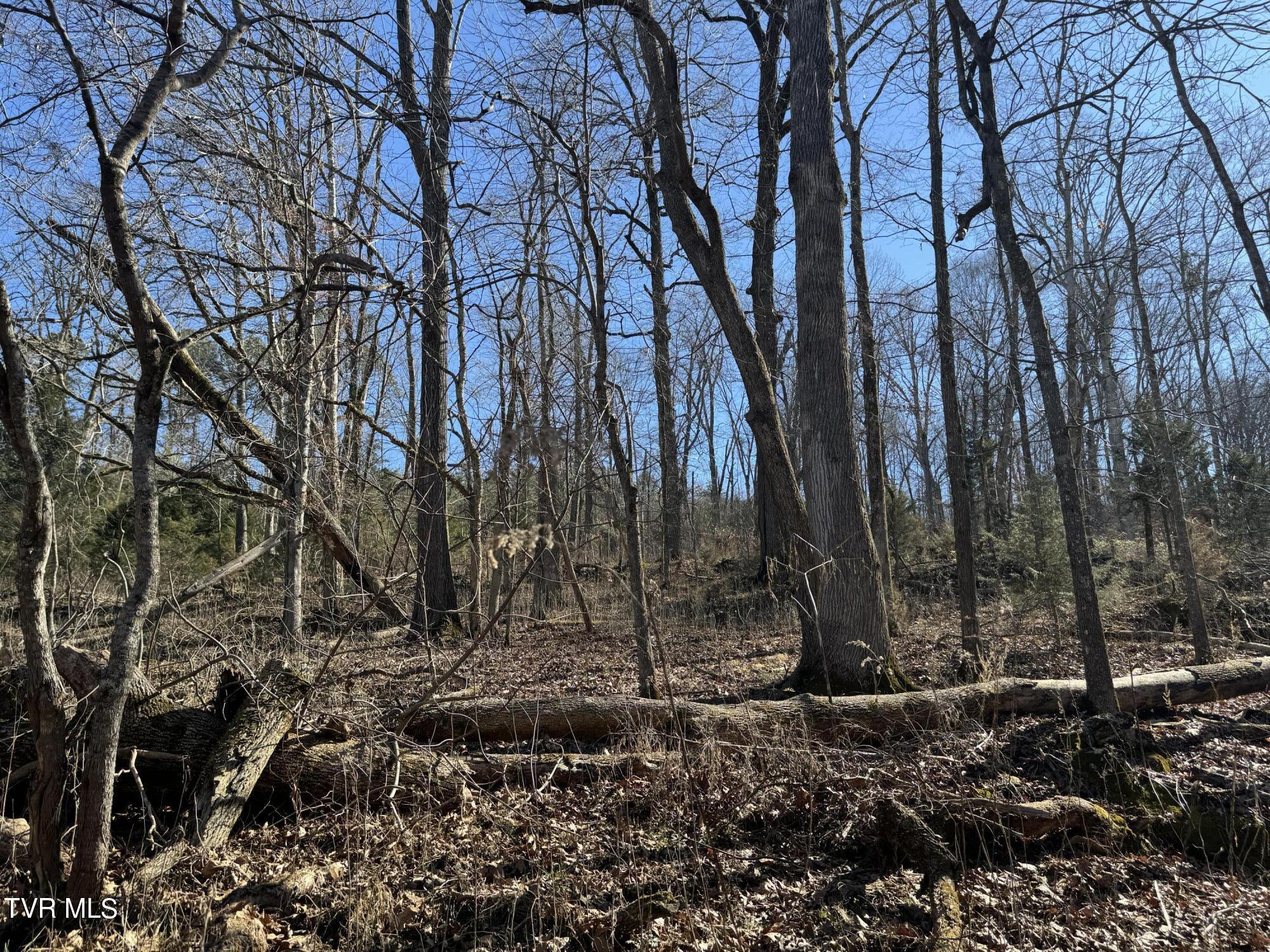 Stagecoach Road, Greeneville, Tennessee image 14