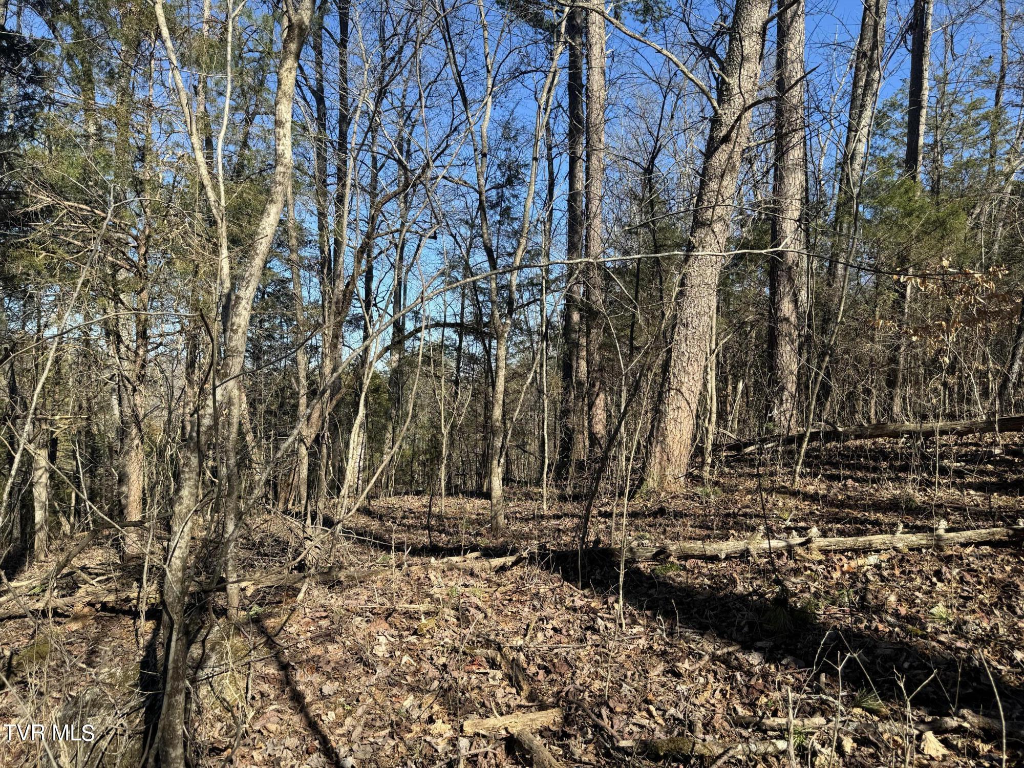 Stagecoach Road, Greeneville, Tennessee image 8