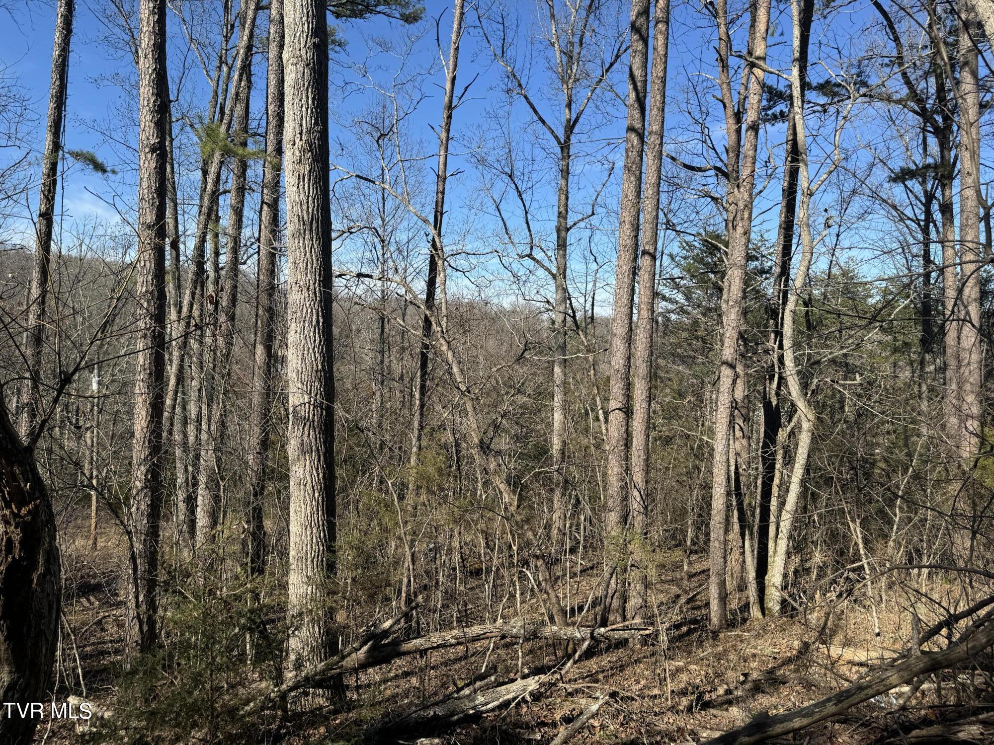 Stagecoach Road, Greeneville, Tennessee image 7