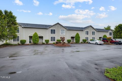 Photo of 124 Bentley Parc #-, Johnson City, TN 37615 (MLS # 9995426)
