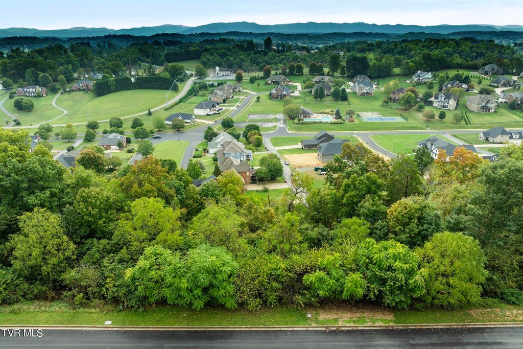 Photo of 92 Ridgetop Drive, Johnson City, TN 37615 (MLS # 9971746)