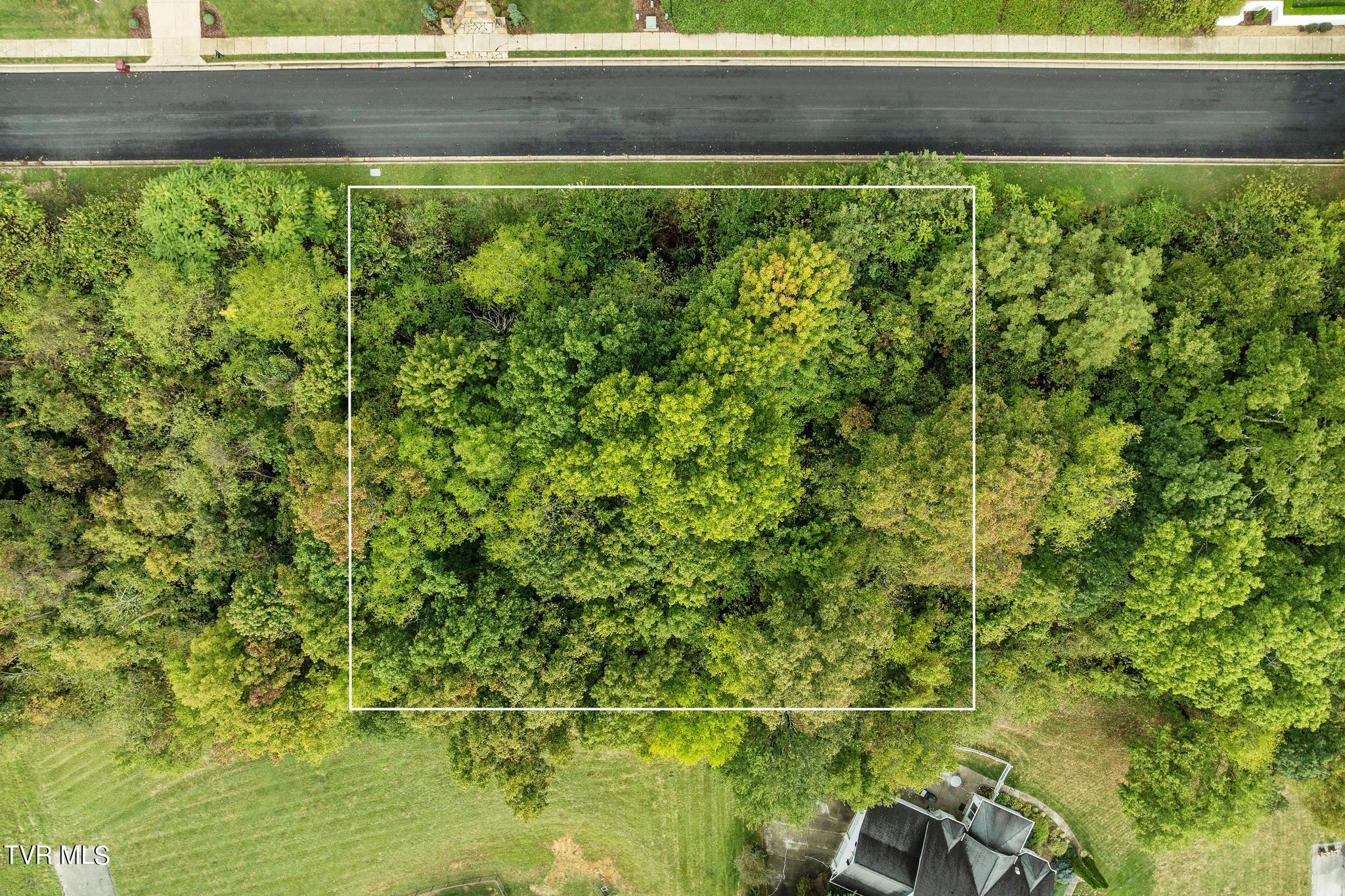 Lot 92 Ridgetop Drive, Johnson City, Tennessee image 2