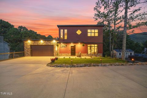 Homes For Sale - 1505 Strawberry Lane<br/> Washington County, Johnson City, TN 37604