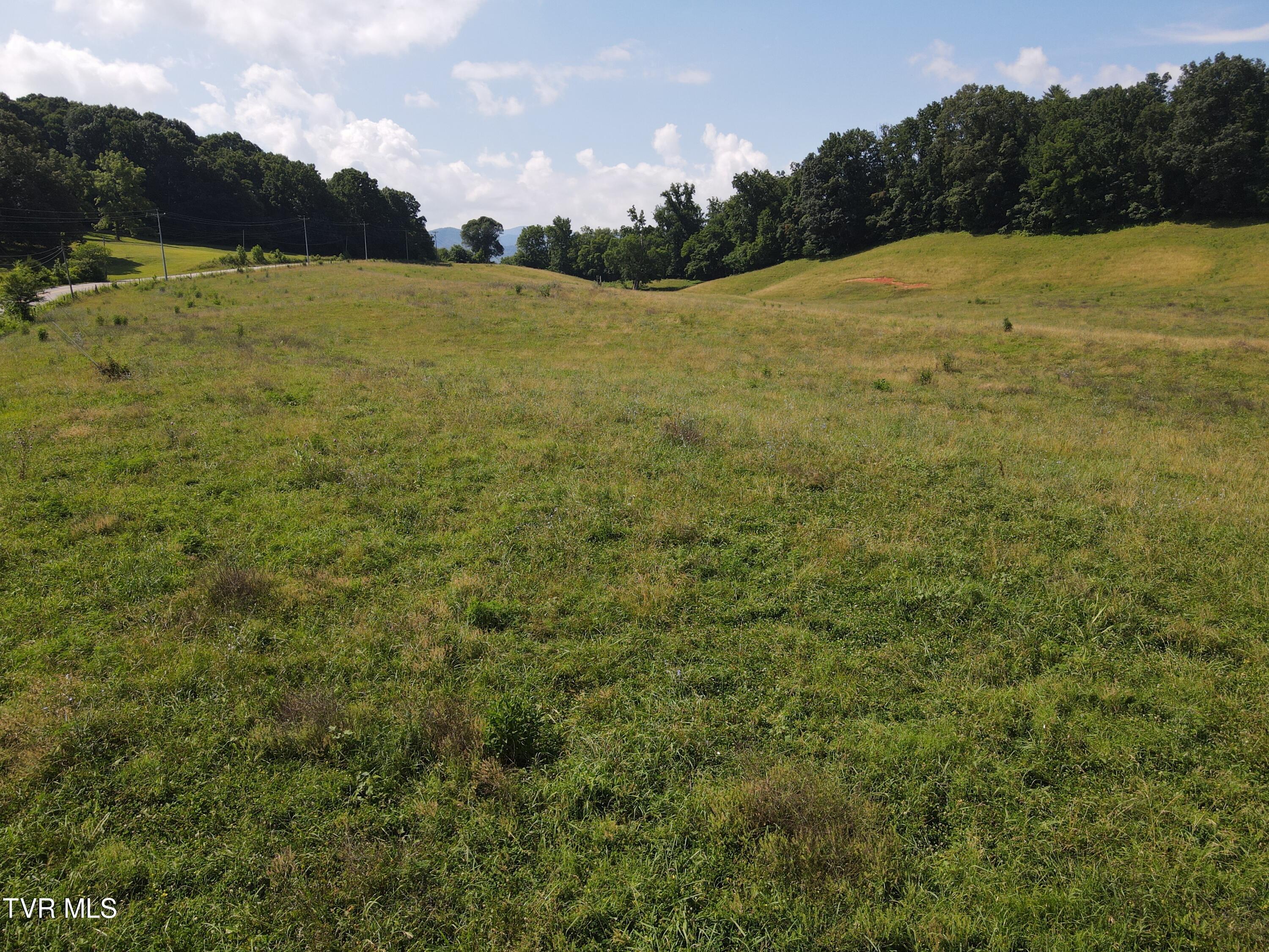 Tbd Bailey Bridge Rd, Limestone, Tennessee image 13