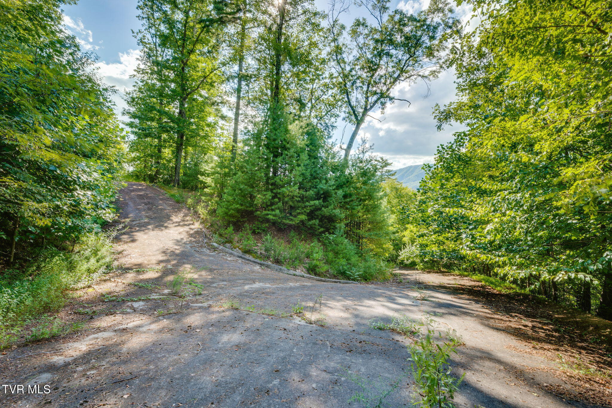 Tbd Cove Ridge Road