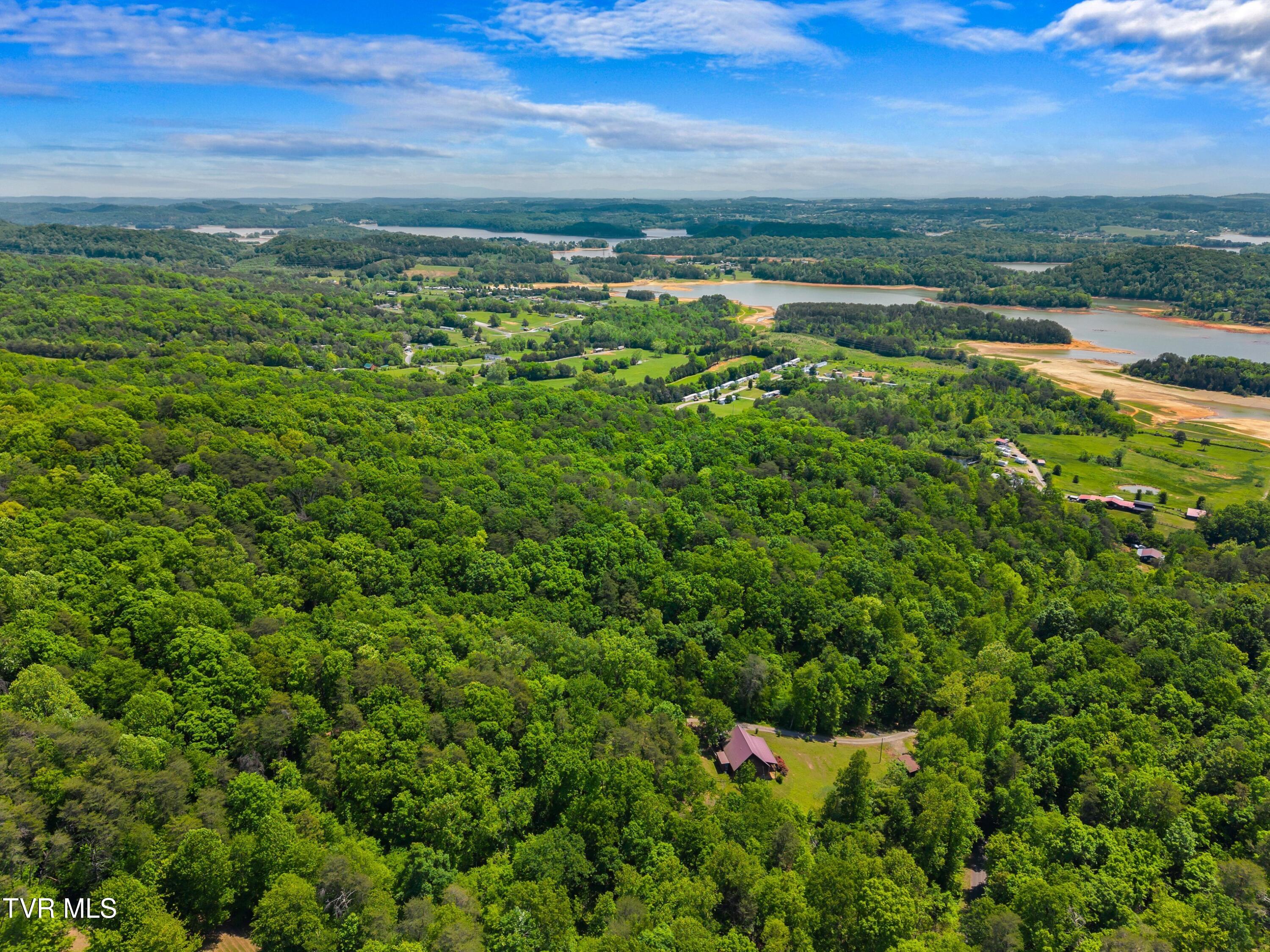 148 Delph Lane, Mooresburg, Tennessee image 33