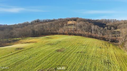 Vacant Land For Sale - 261 Dotson Lane #LOT 1<br/> Church Hill, TN 37642