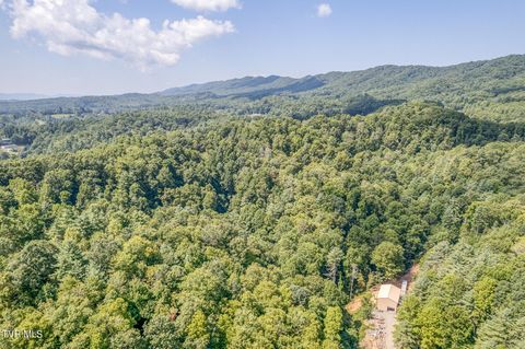 Vacant Land For Sale - TBD Waters Rd Road<br/> Johnson County, Laurel Bloomery, TN 37680