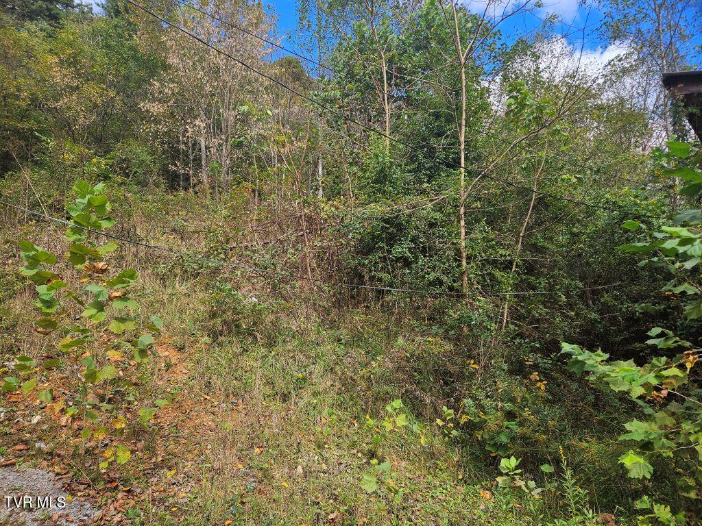1727 Right Poor Valley Road