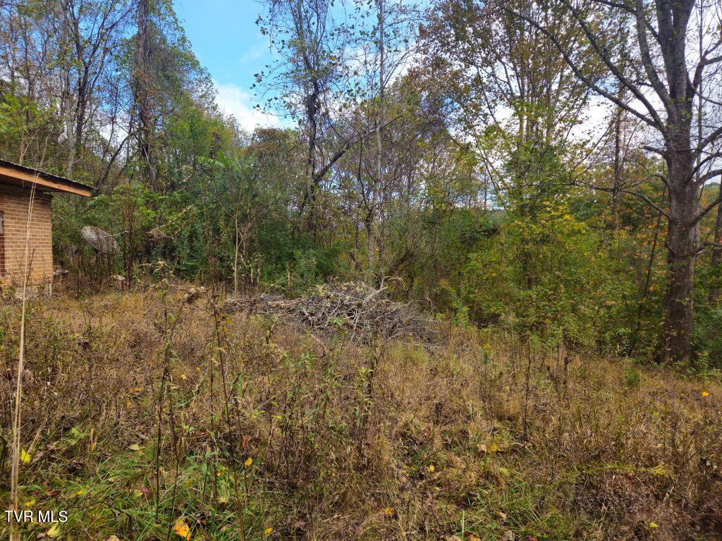 1727 Right Poor Valley Road