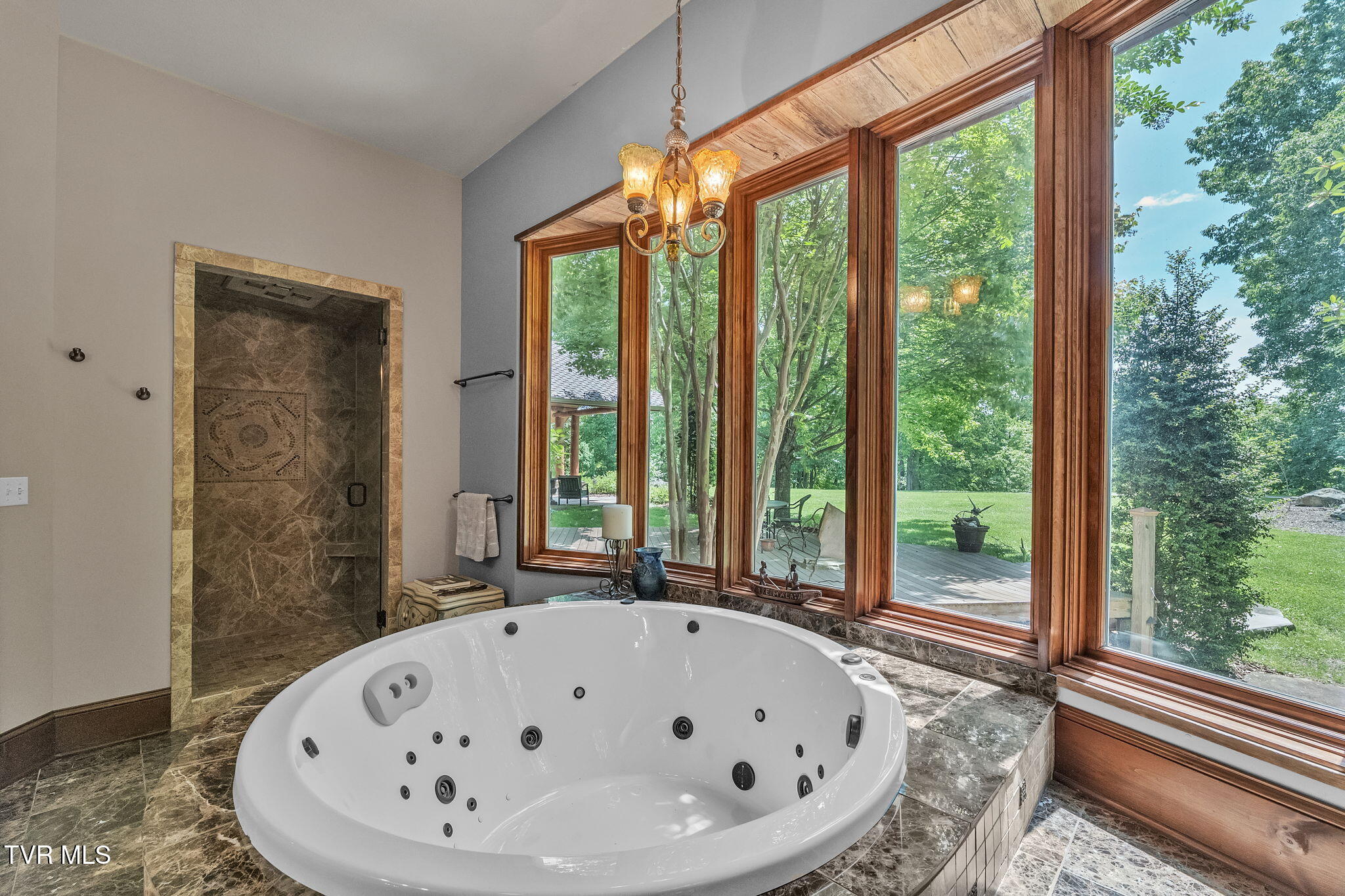 18549 Landridge Way, Abingdon, Virginia image 50