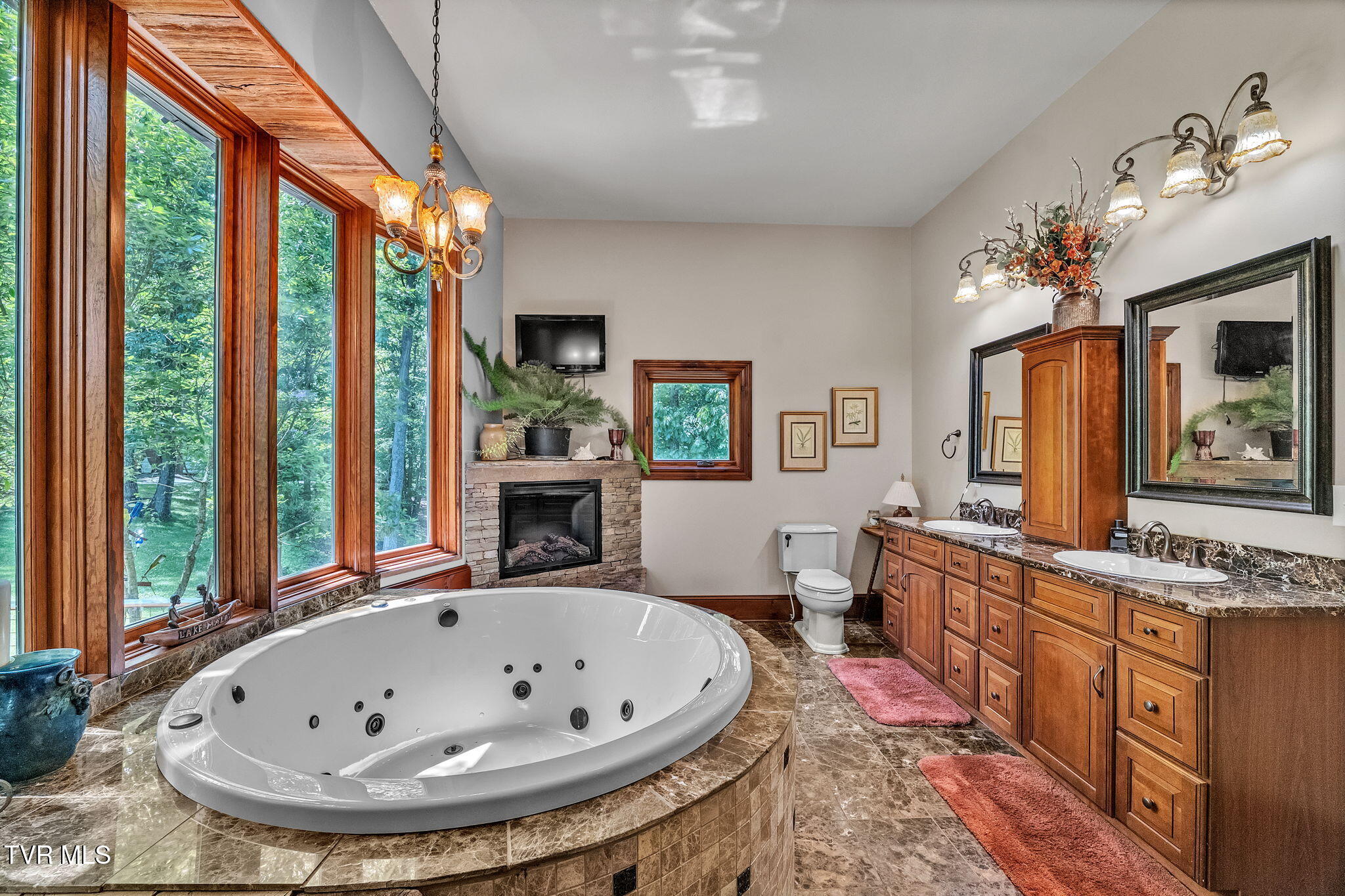 18549 Landridge Way, Abingdon, Virginia image 47
