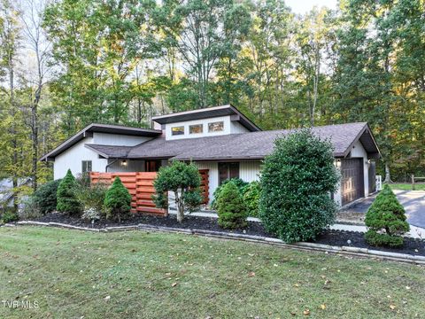 Photo of 35 Alpine Cove, Greeneville, TN 37743 (MLS # 9987408)