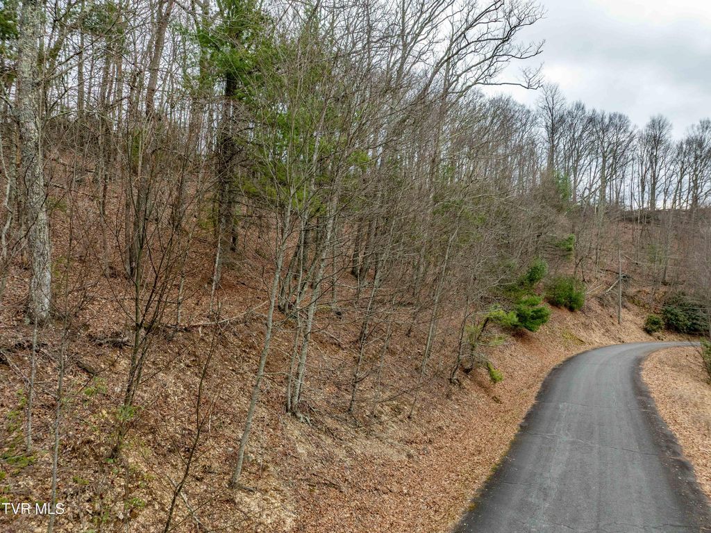 Photo of 6 Callalantee Drive, Mountain City, TN 37683 (MLS # 9992051)