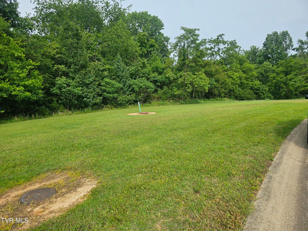 Photo of 20 Bedford Circle, Greeneville, TN 37743 (MLS # 9981319)