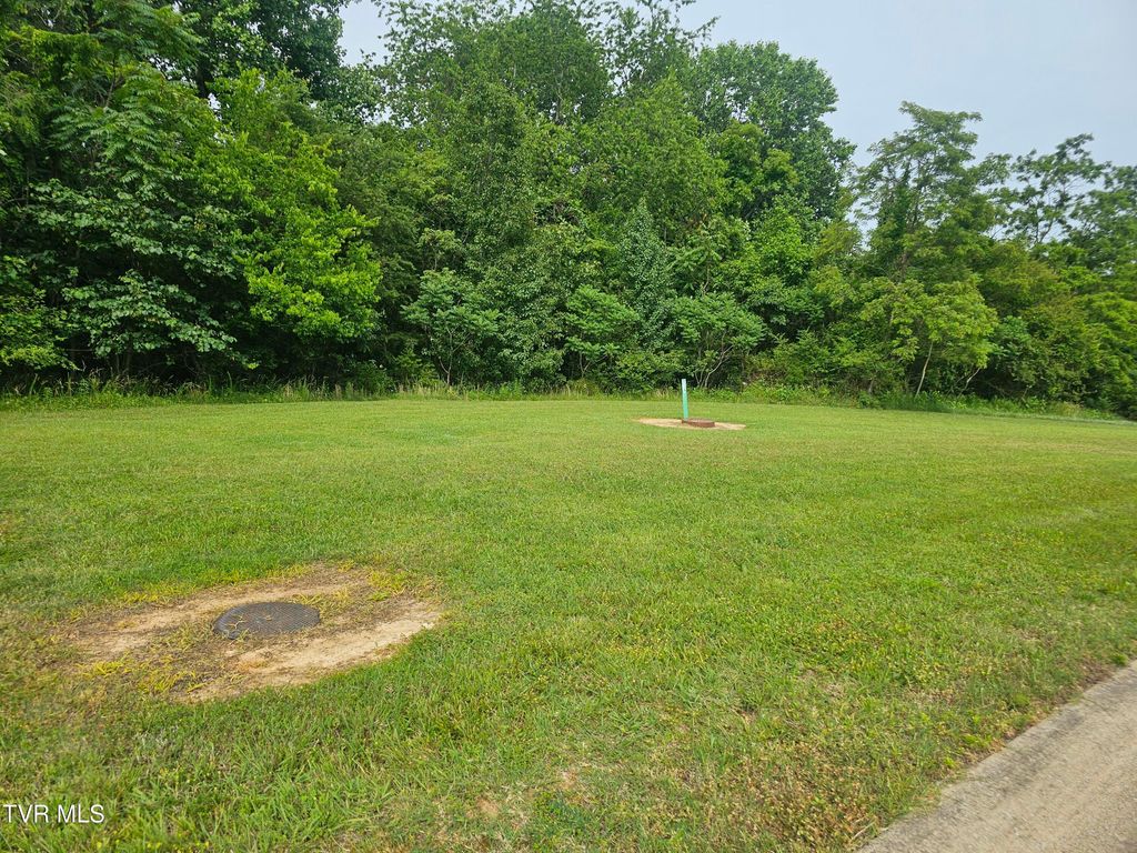 Photo of 20 Bedford Circle, Greeneville, TN 37743 (MLS # 9981319)