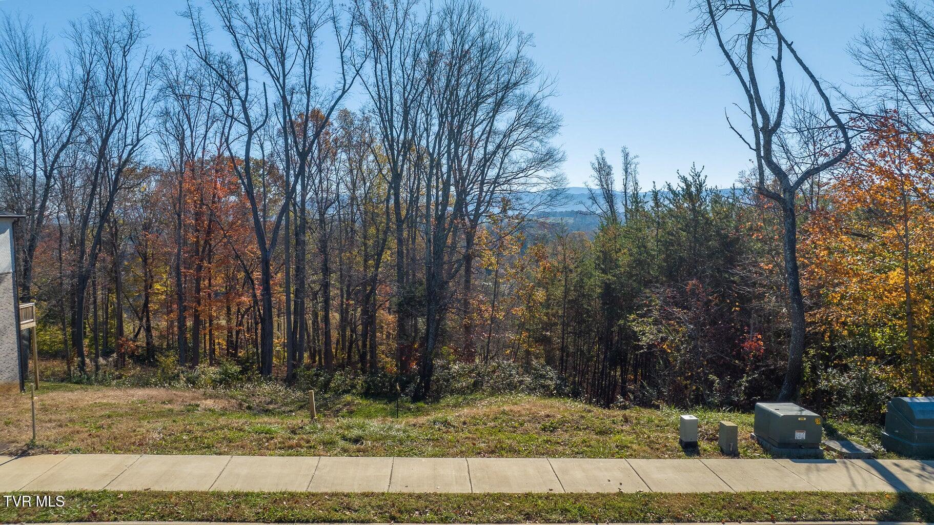 Lot 49 English Ivy Trail, Jonesborough, Tennessee image 3