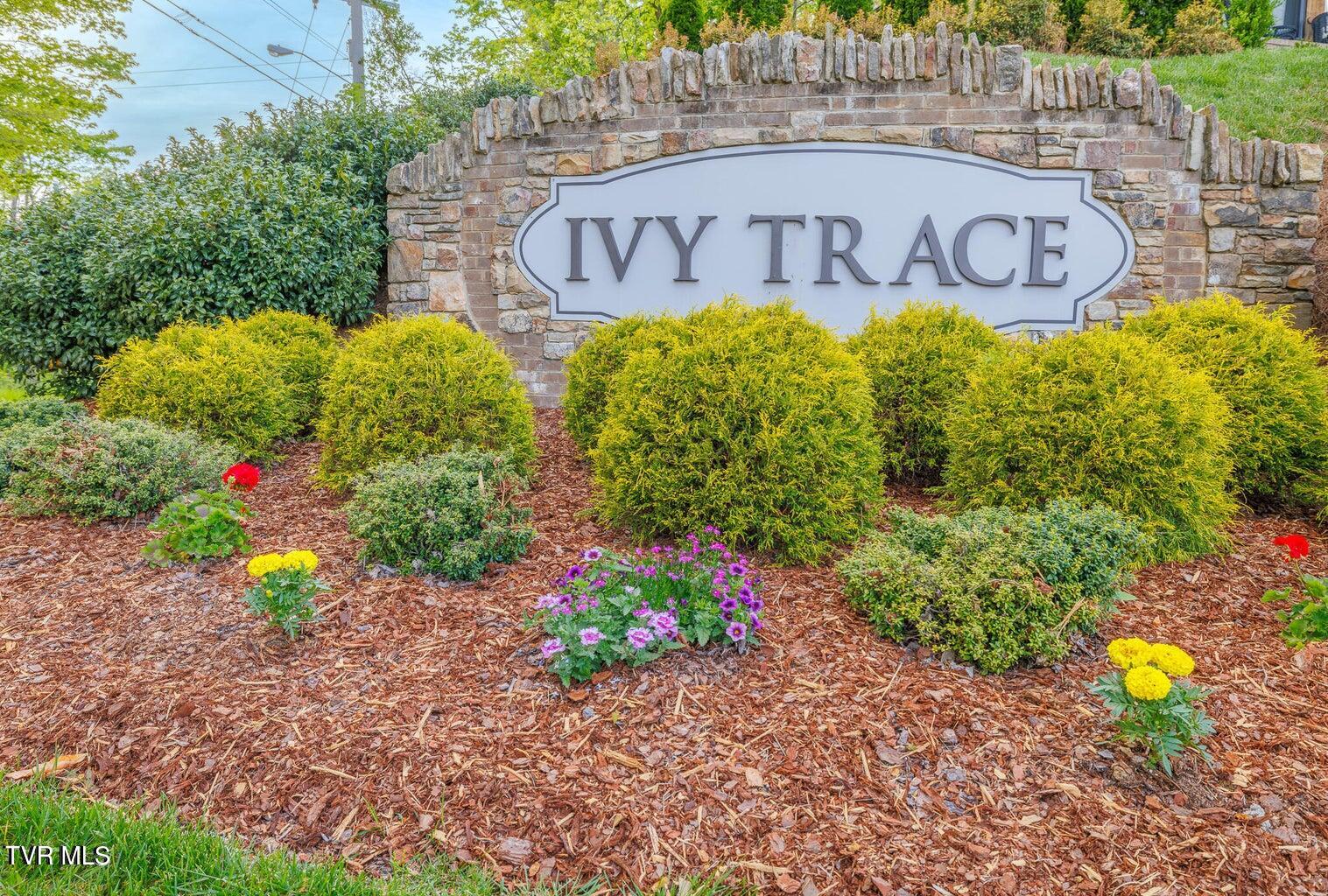 Lot 49 English Ivy Trail, Jonesborough, Tennessee image 1