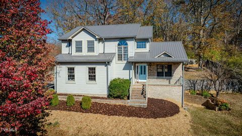 Photo of 1 Green Valley Court, Johnson City, TN 37601 (MLS # 9988331)