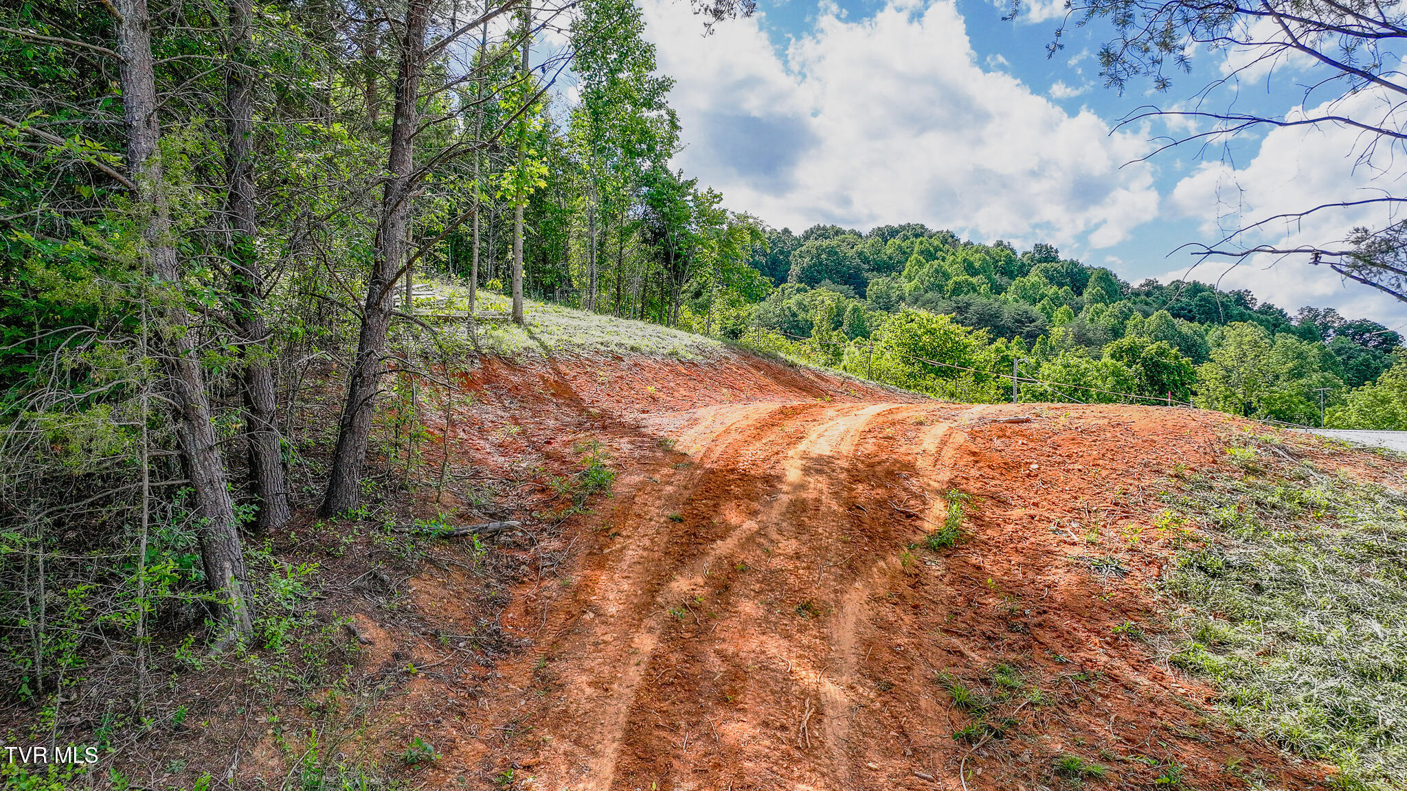 Tbd Rock Quarry Road, Afton, Tennessee image 9