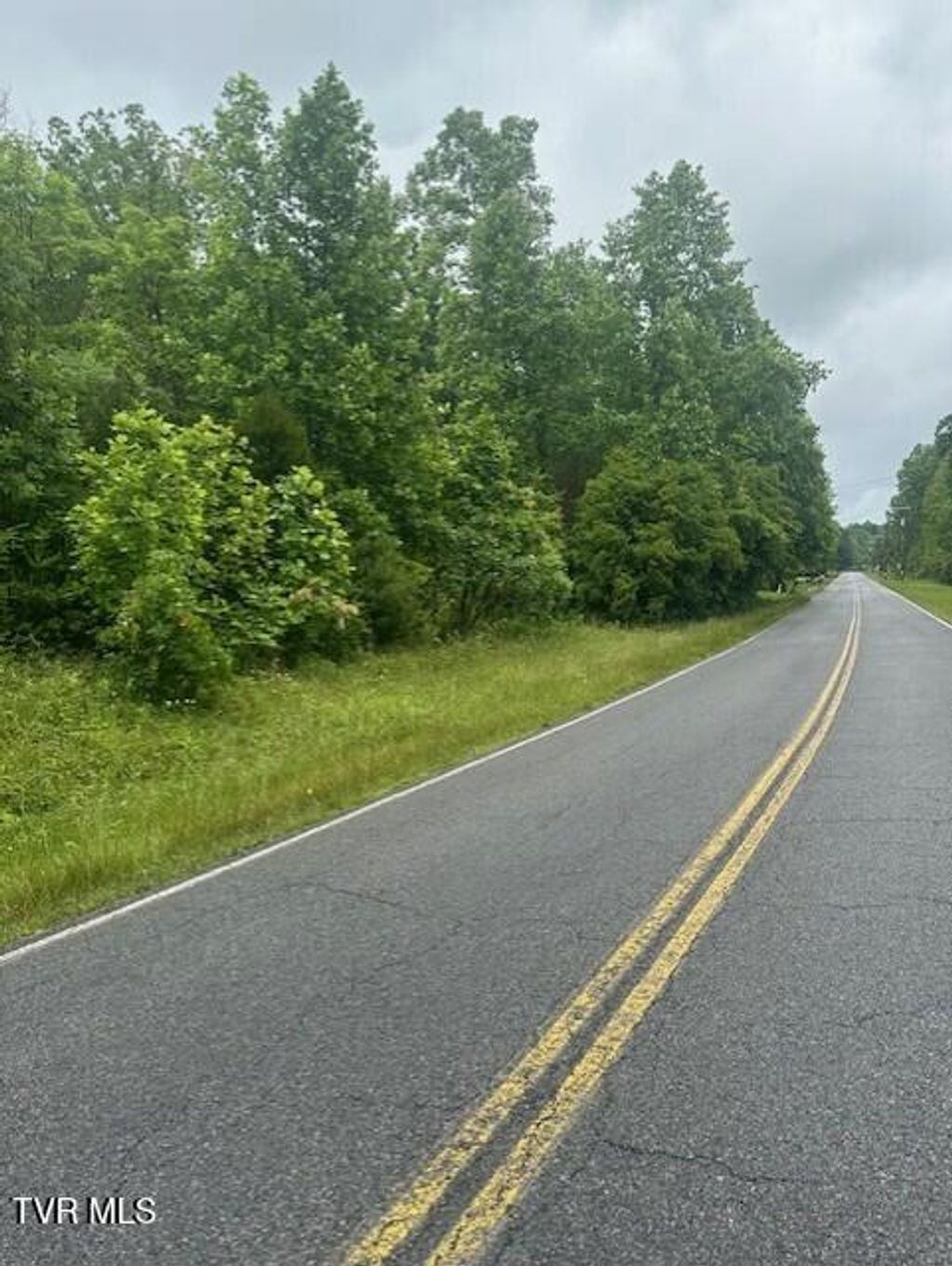 Photo of Tbd Laurel Lane, Unicoi, TN 37692 (MLS # 9981437)