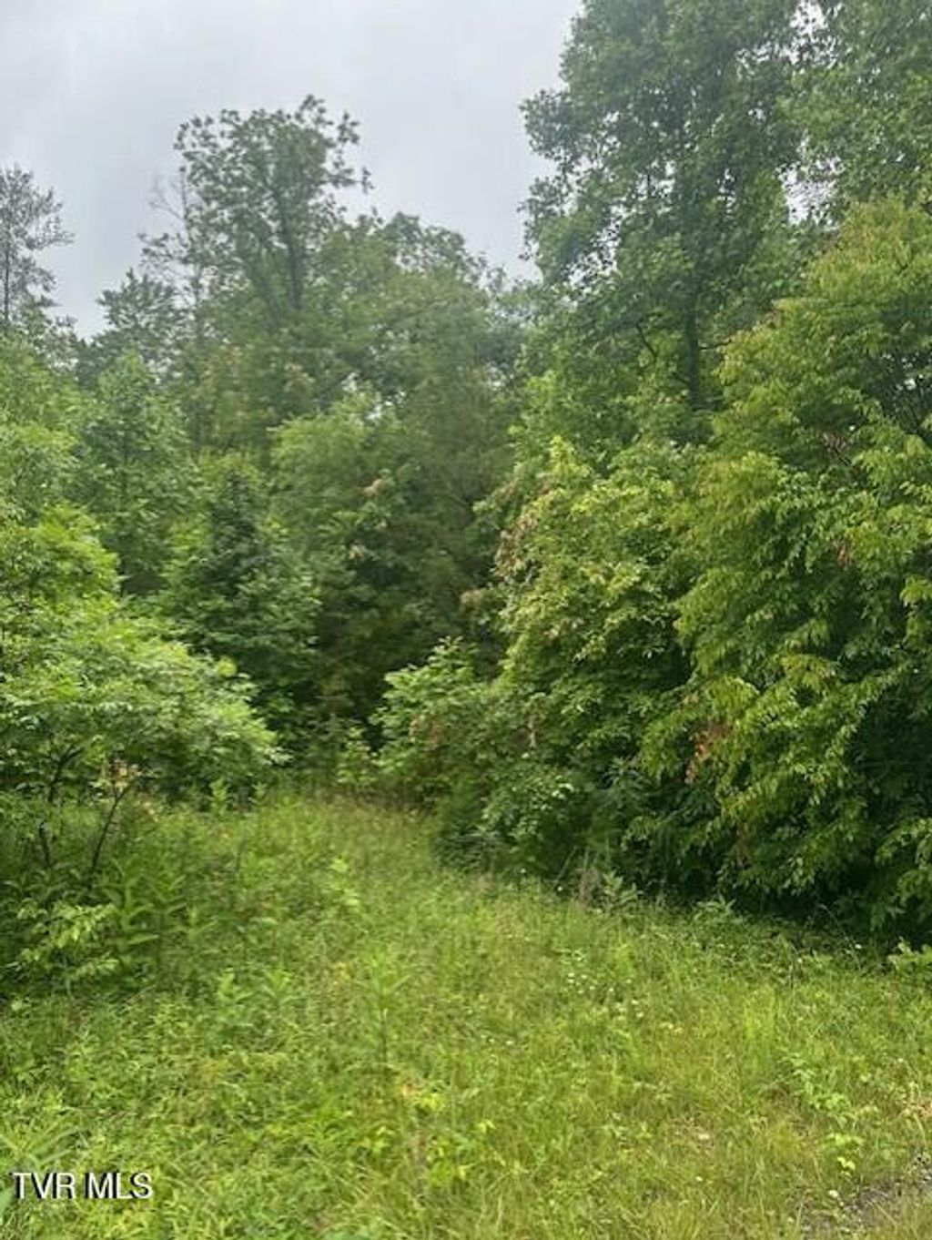 Photo of Tbd Laurel Lane, Unicoi, TN 37692 (MLS # 9981437)
