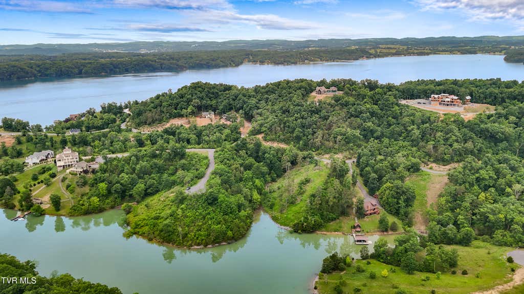 Photo of 25 Stone Bridge Drive, Dandridge, TN 37725 (MLS # 9998671)