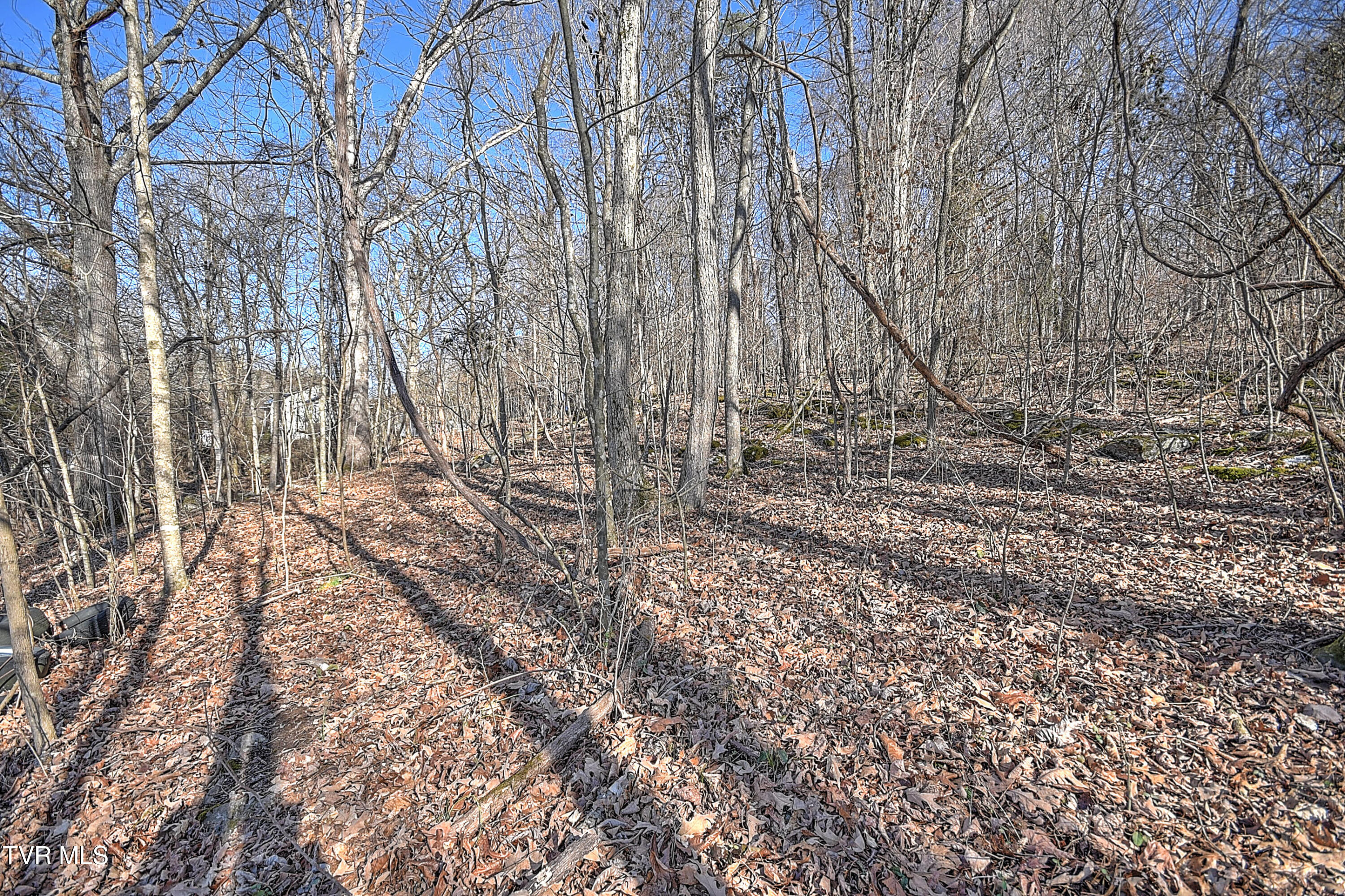 Tbd Beechwood Road, Kingsport, Tennessee image 17