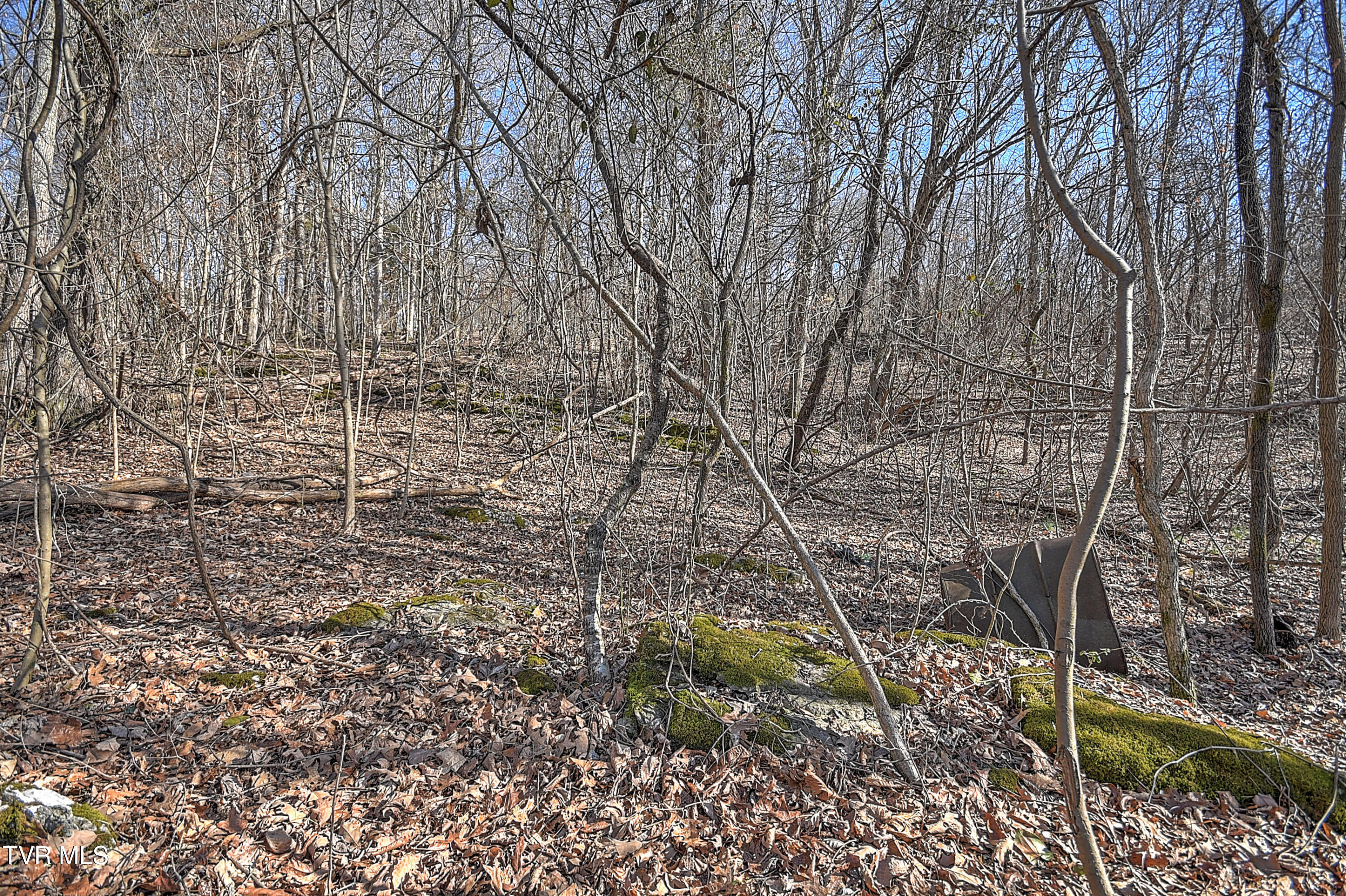 Tbd Beechwood Road, Kingsport, Tennessee image 13