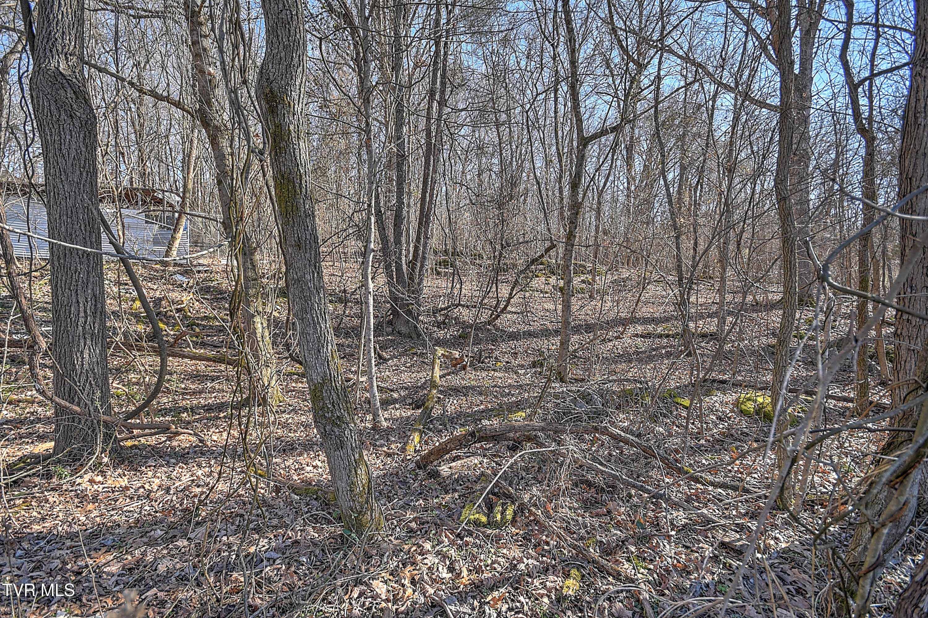 Tbd Beechwood Road, Kingsport, Tennessee image 21