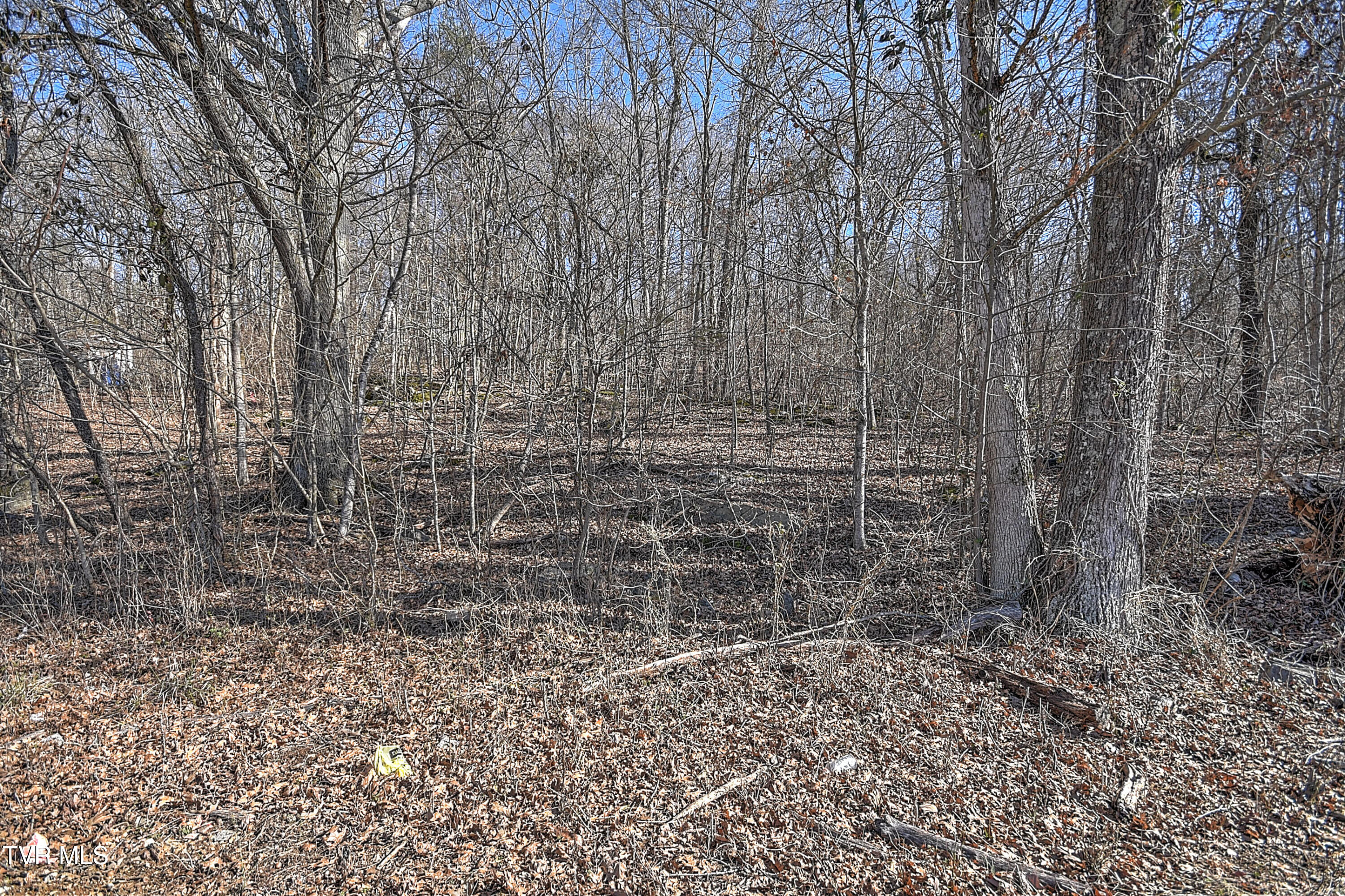 Tbd Beechwood Road, Kingsport, Tennessee image 19