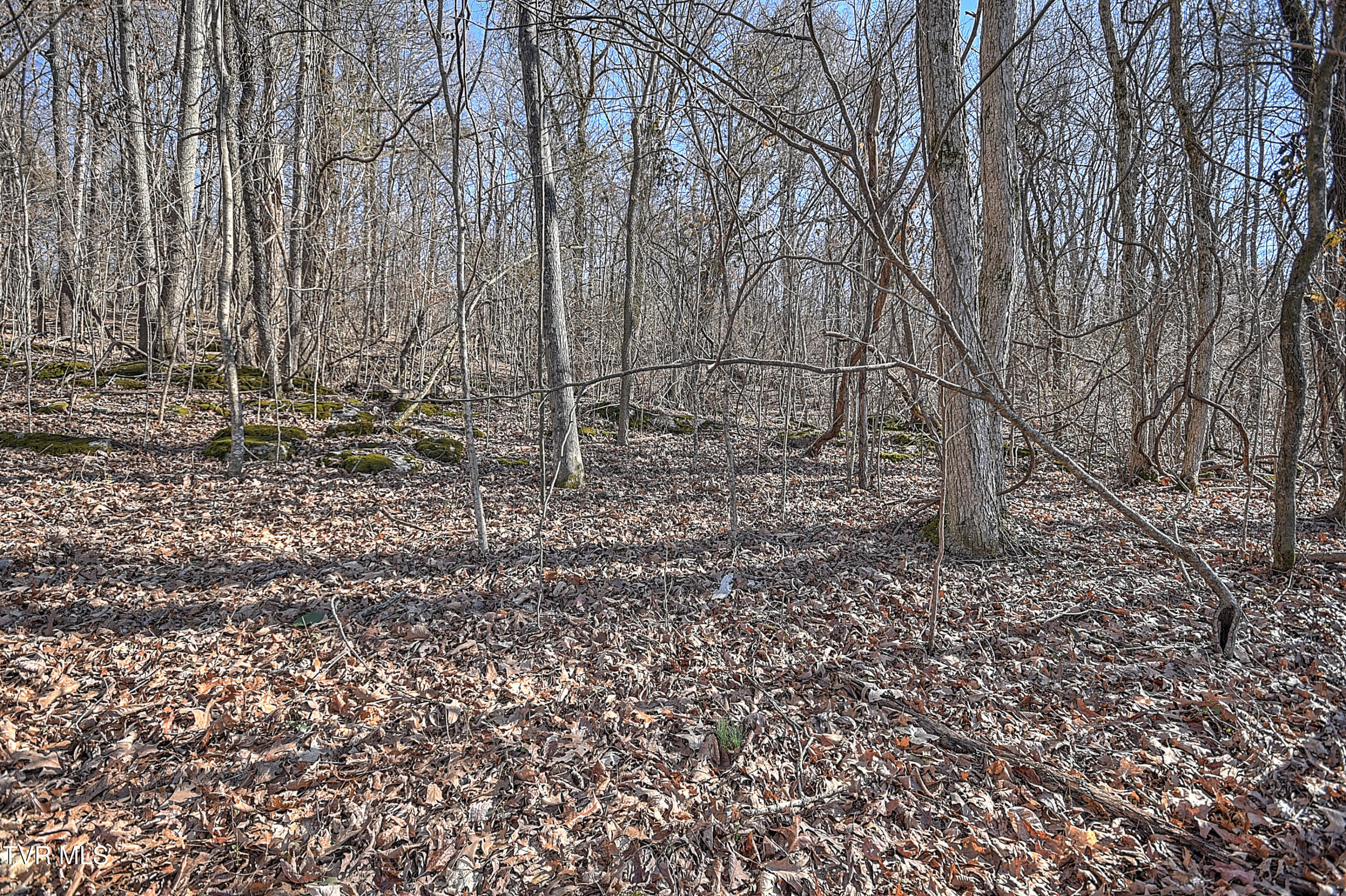 Tbd Beechwood Road, Kingsport, Tennessee image 15