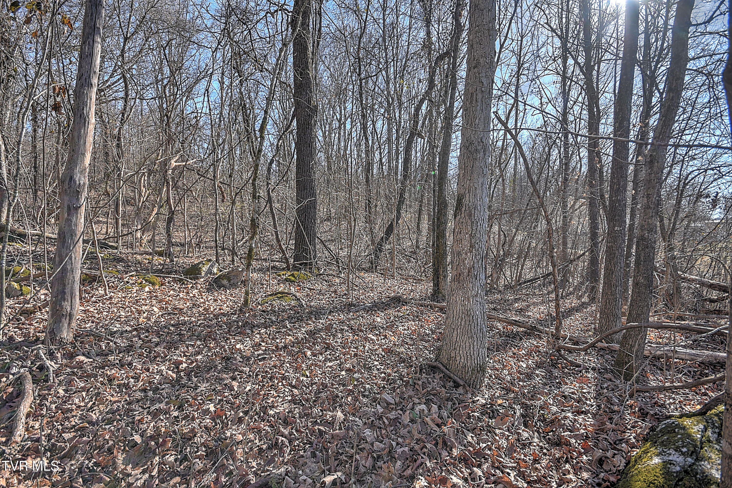Tbd Beechwood Road, Kingsport, Tennessee image 16