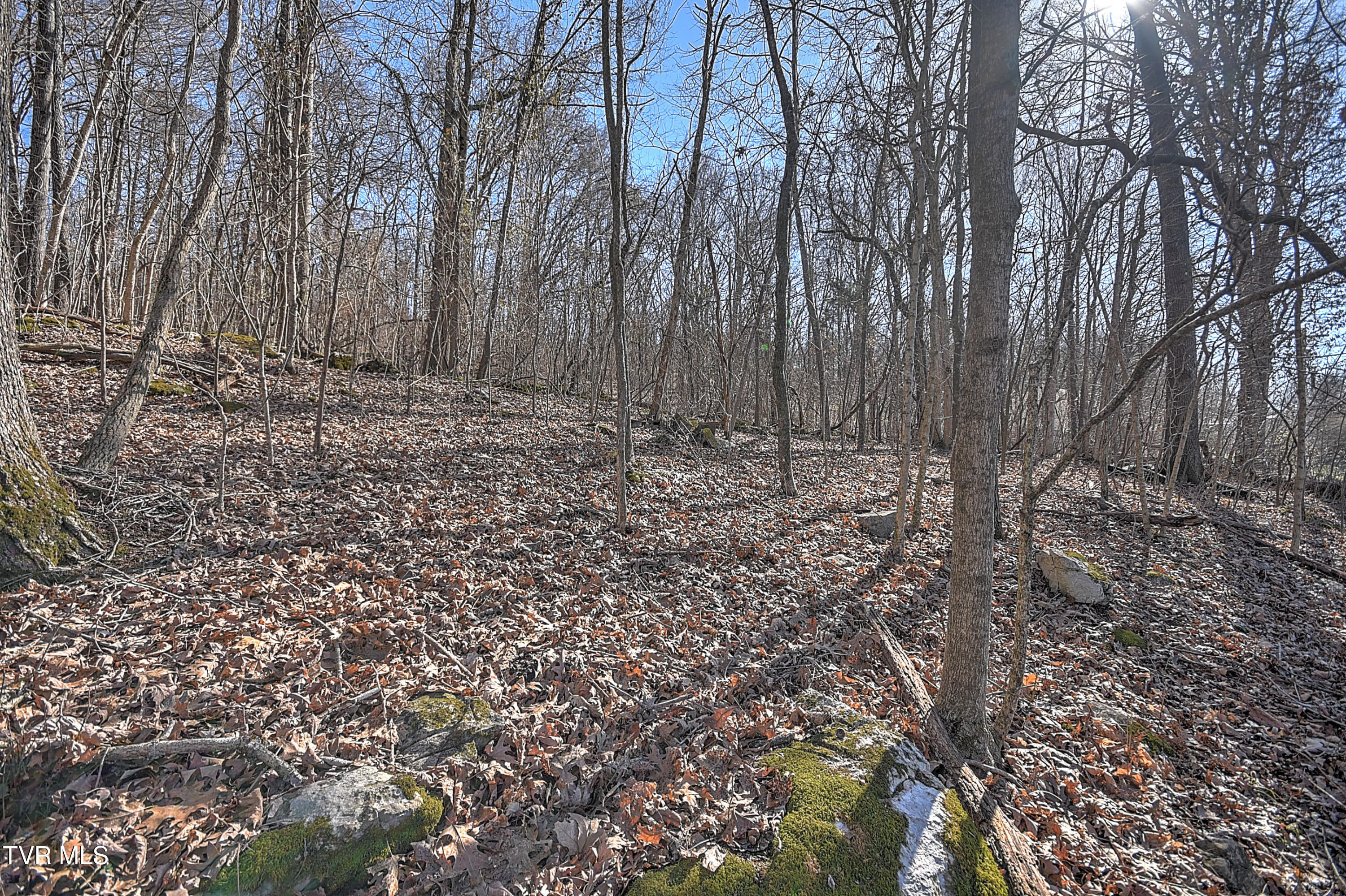 Tbd Beechwood Road, Kingsport, Tennessee image 11