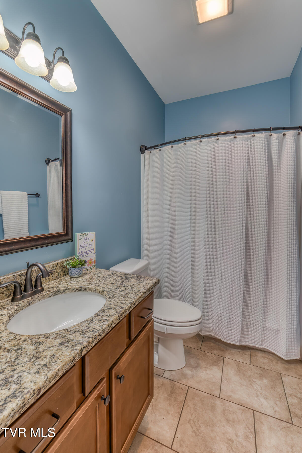 1008 Bellingham Drive, Kingsport, Tennessee image 28