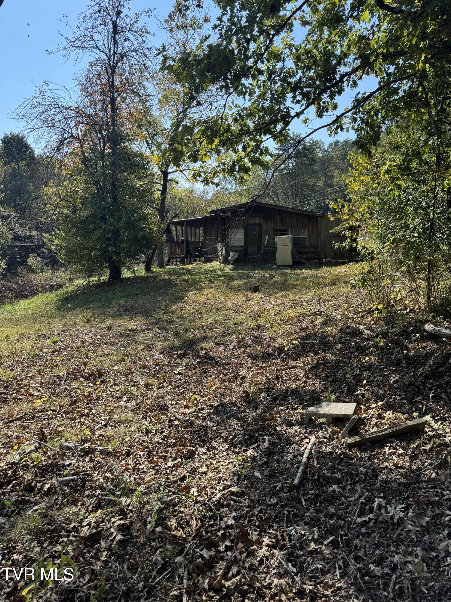 2272 Mullins Road, Russellville, Tennessee image 3