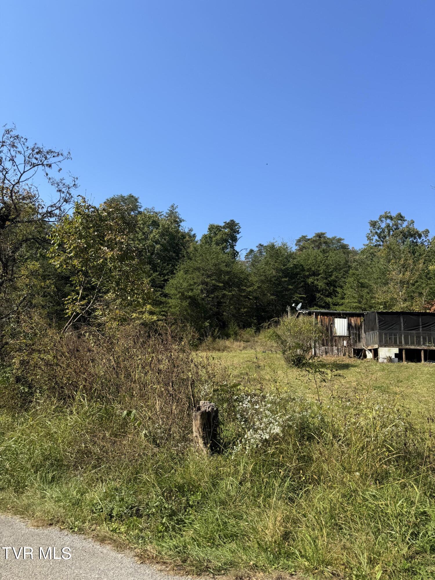 2272 Mullins Road, Russellville, Tennessee image 10