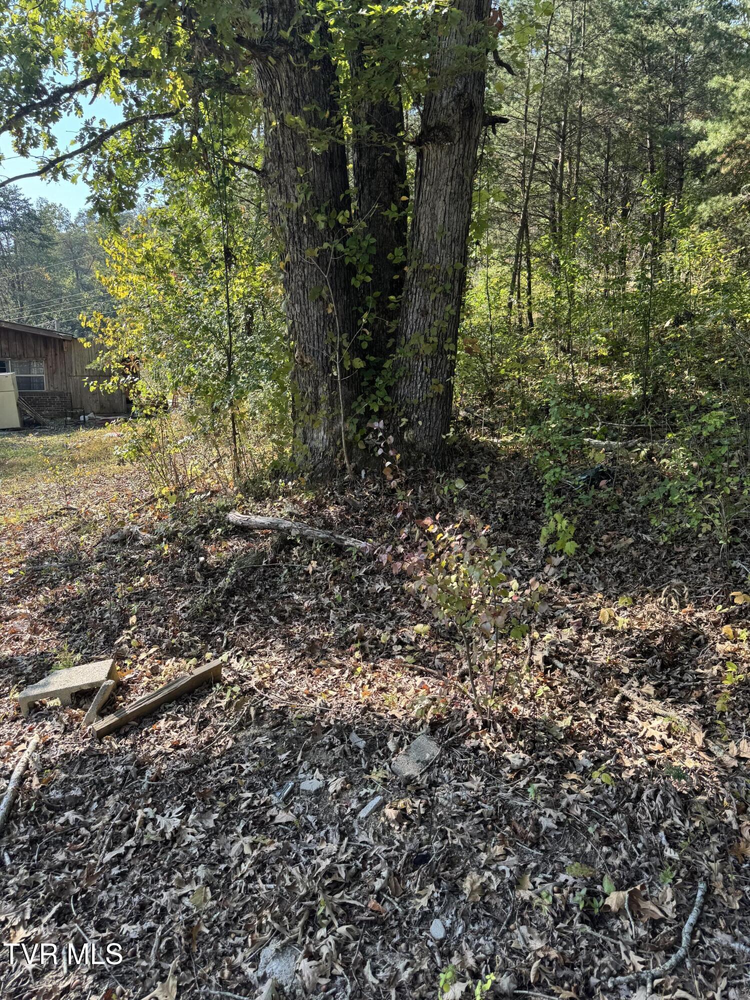2272 Mullins Road, Russellville, Tennessee image 5