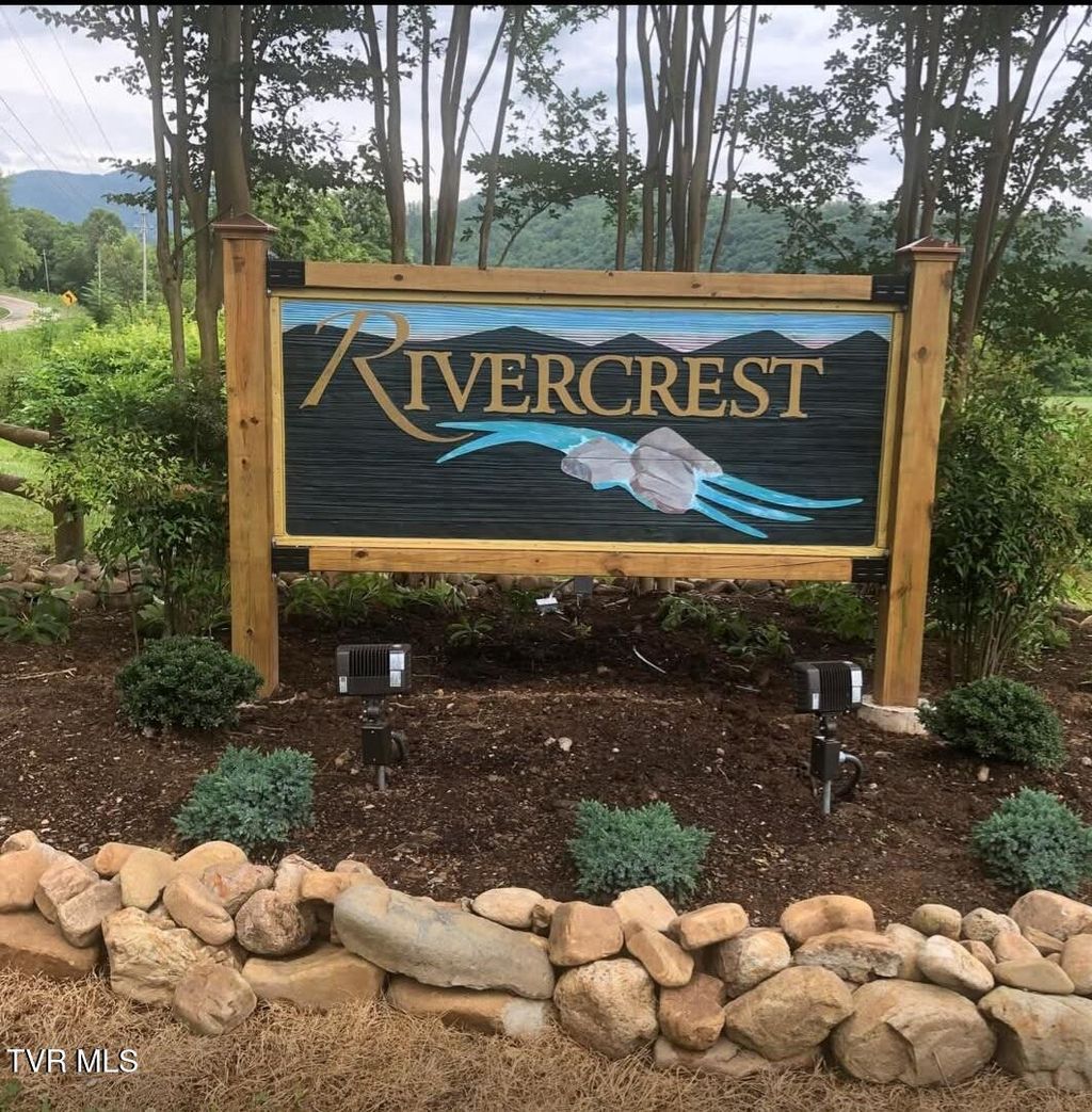 Photo of 30 River Rapids Way, Del Rio, TN 37727 (MLS # 9987637)