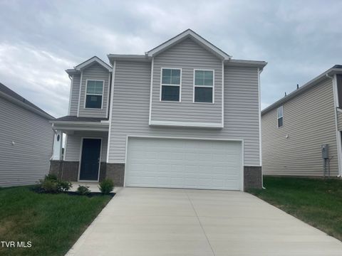 Photo of 1129 Aspen Terrace, Greeneville, TN 37745 (MLS # 9980825)