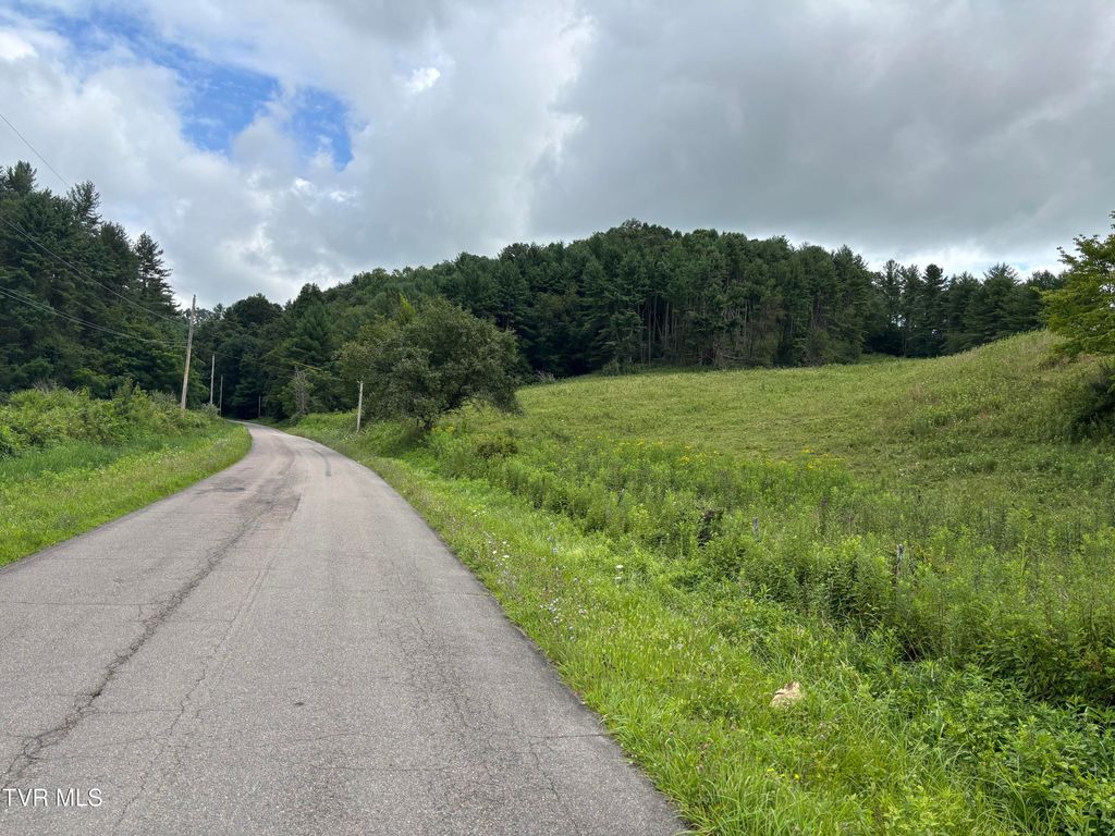 Photo of Tbd Jenkins Hollow Road, Mountain City, TN 37683 (MLS # 9983716)